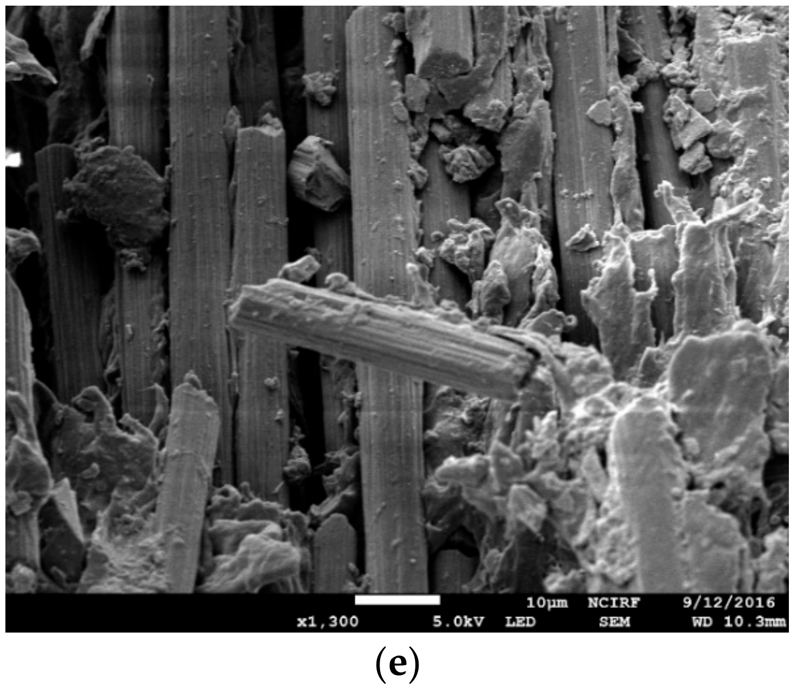 Polymers 12 01133 g007b