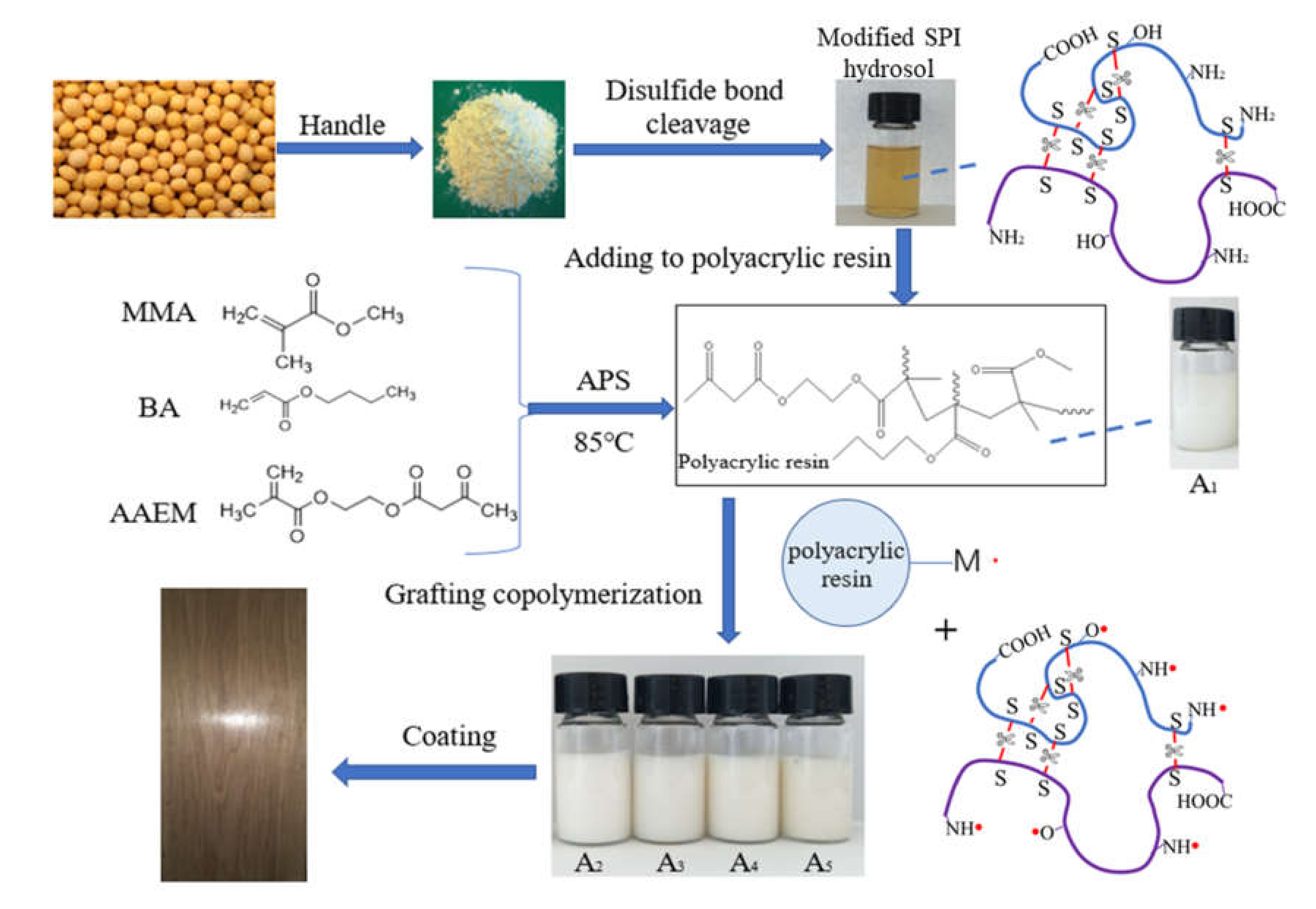 Polymers 12 01137 g001
