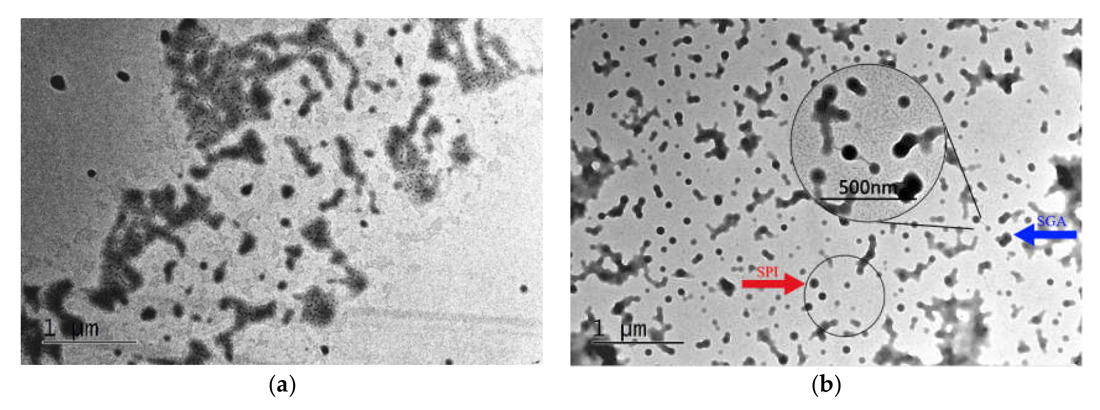 Polymers 12 01137 g003
