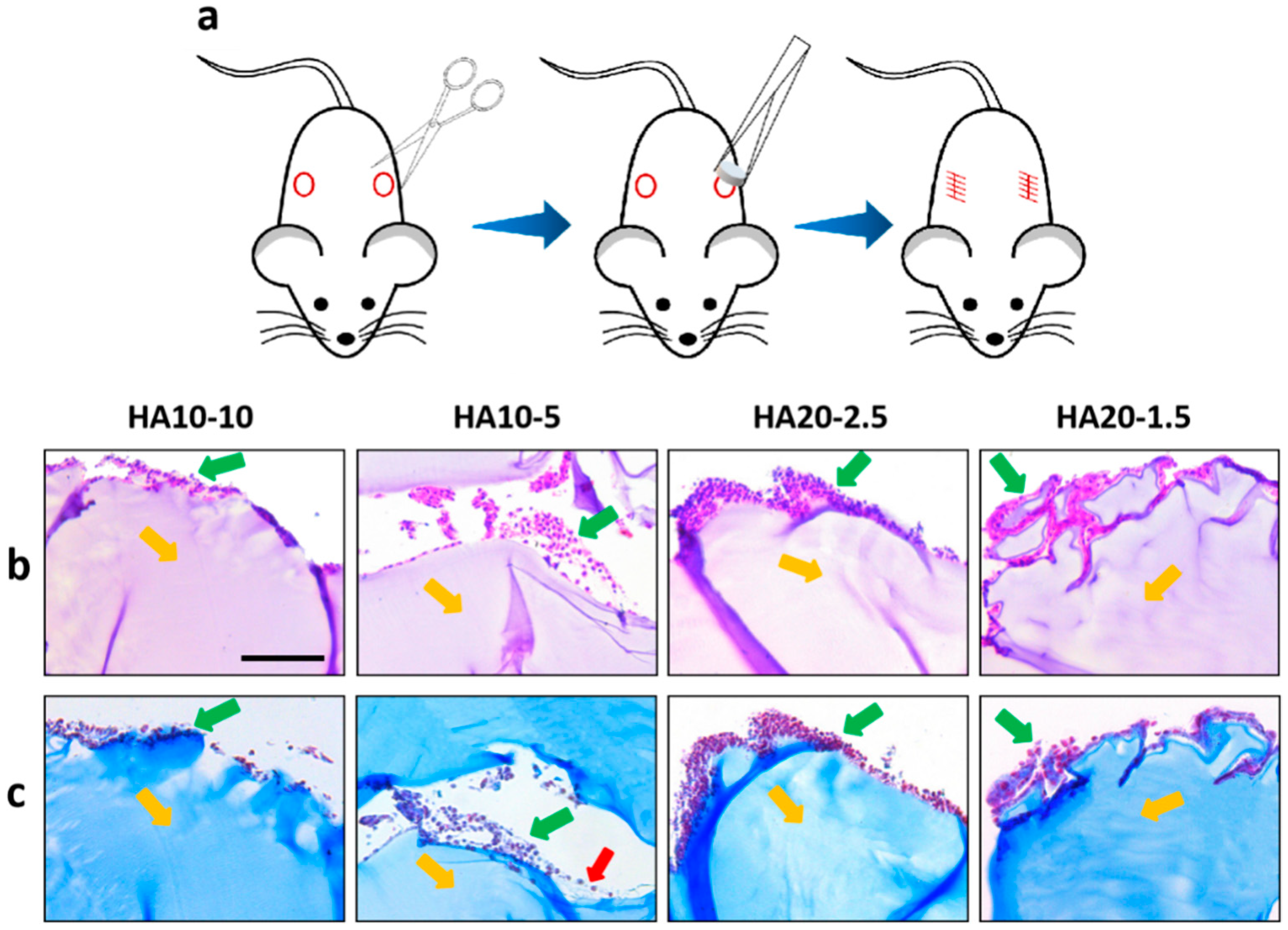 Polymers 12 01138 g007