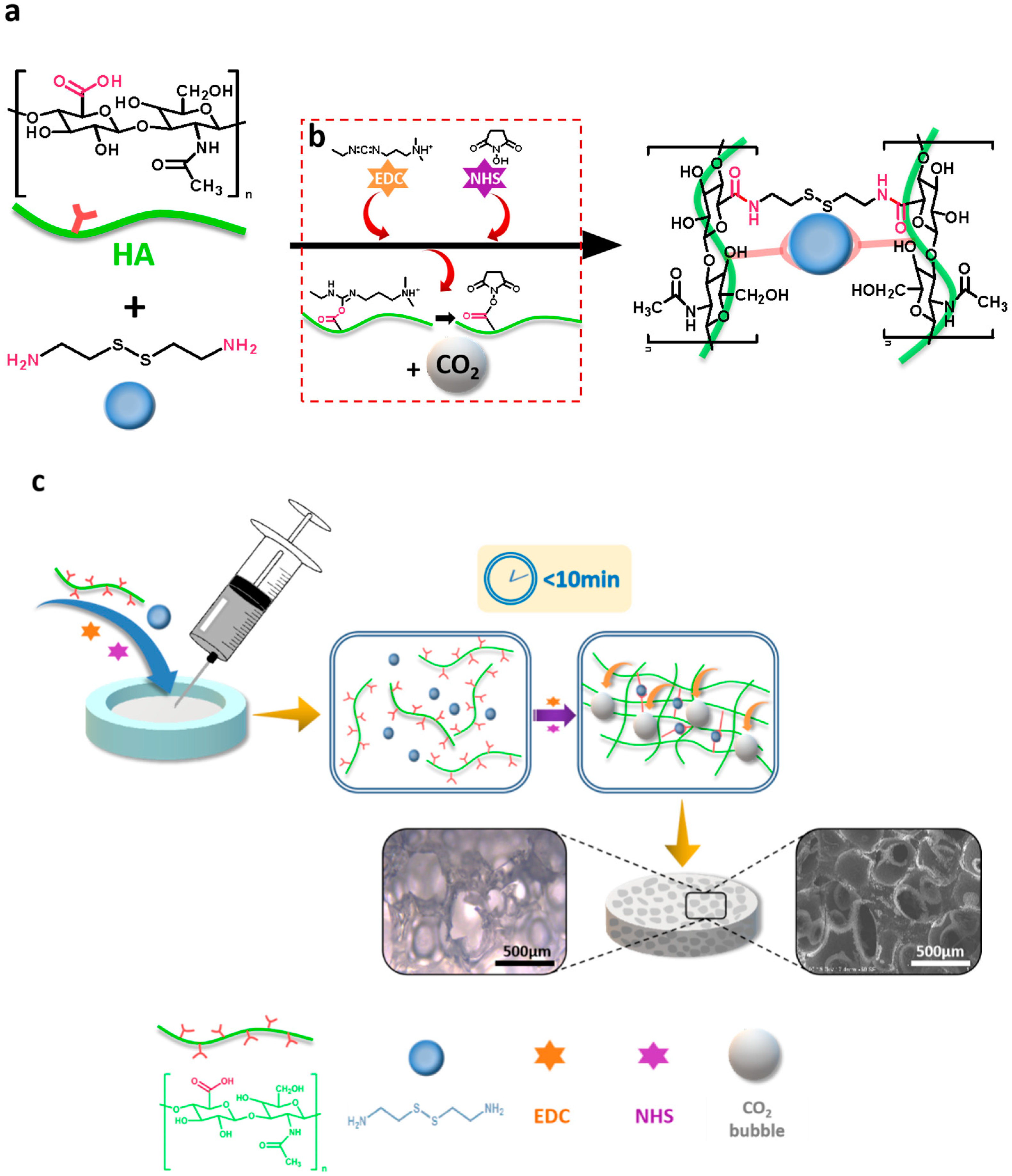 Polymers 12 01138 sch001