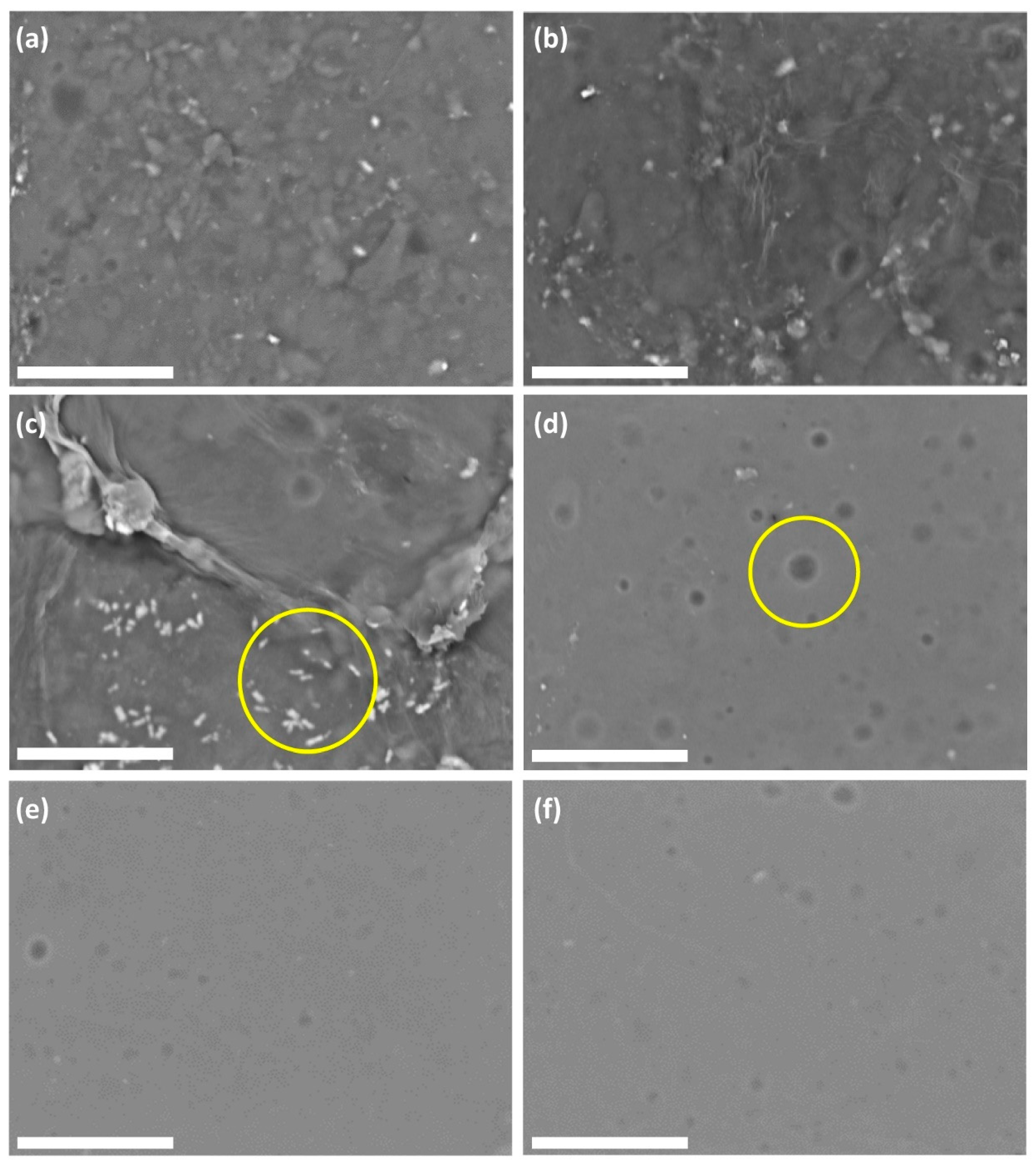 Polymers 12 01145 g007 Polymers 12 01145 g007