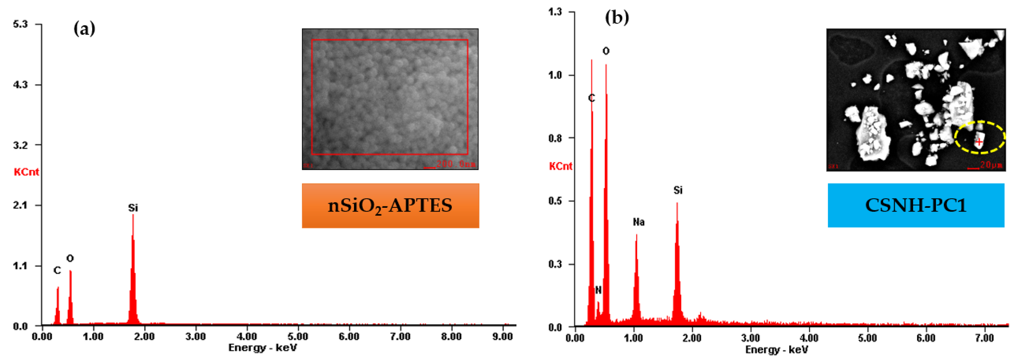 Polymers 12 01152 g003