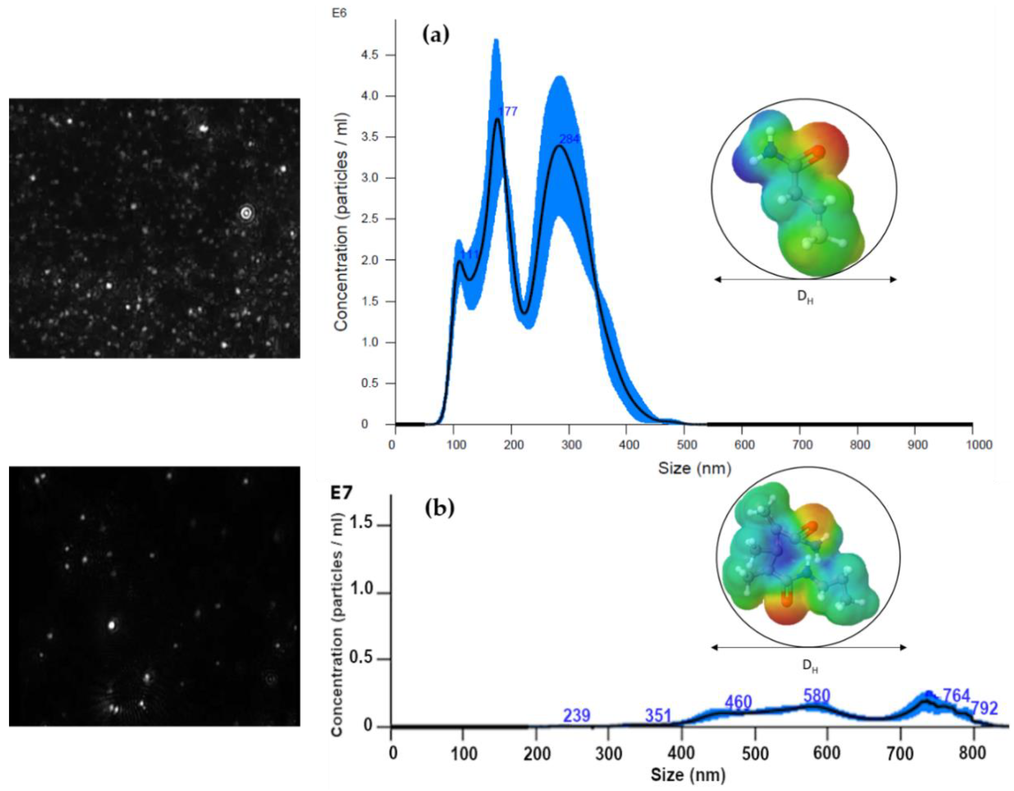 Polymers 12 01152 g005