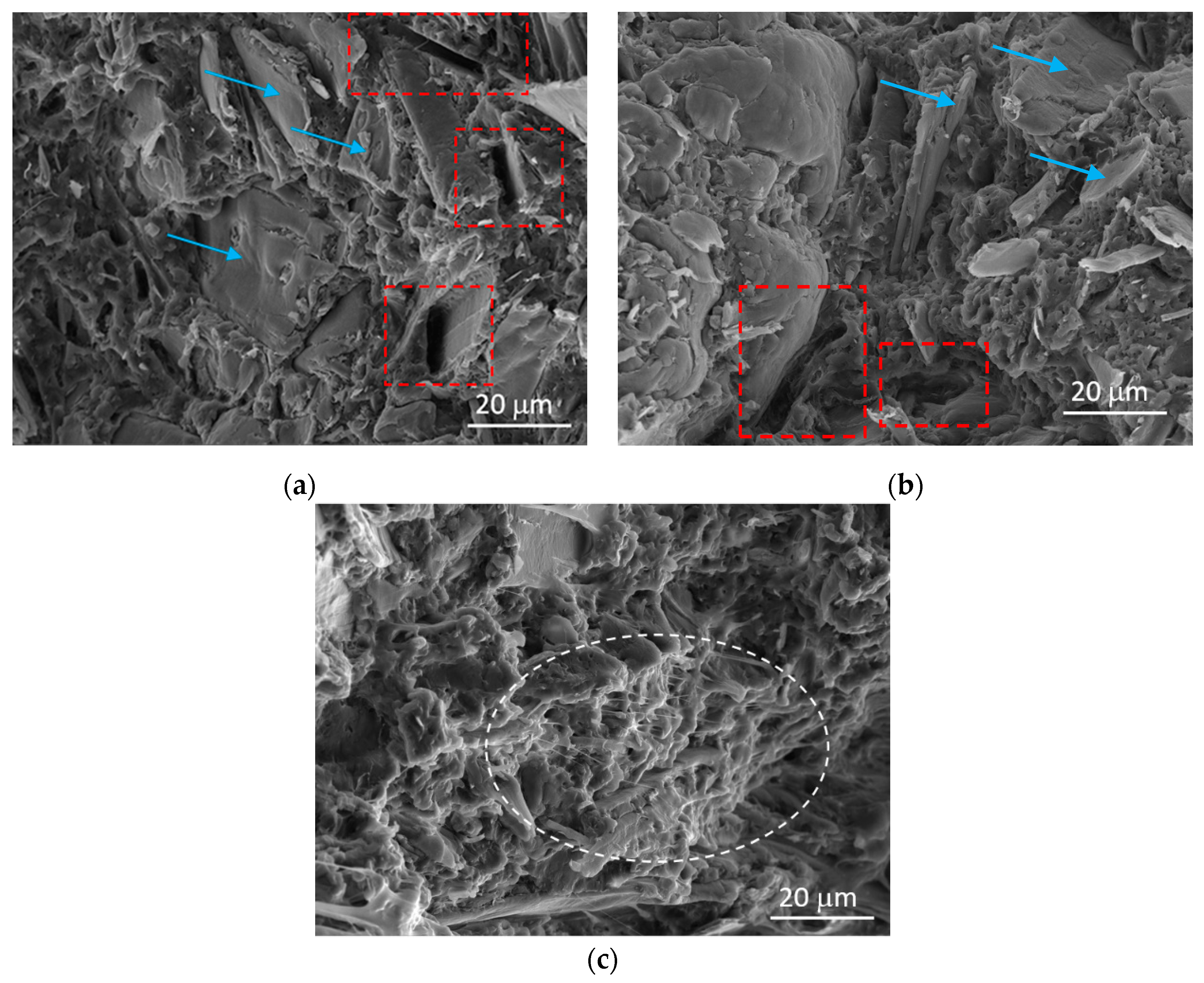 Polymers 12 01170 g006