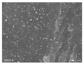 Polymers 12 01171 i003