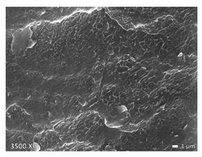 Polymers 12 01171 i004