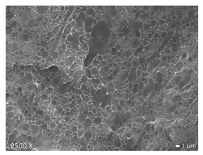 Polymers 12 01171 i007