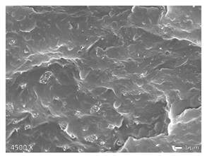 Polymers 12 01171 i009