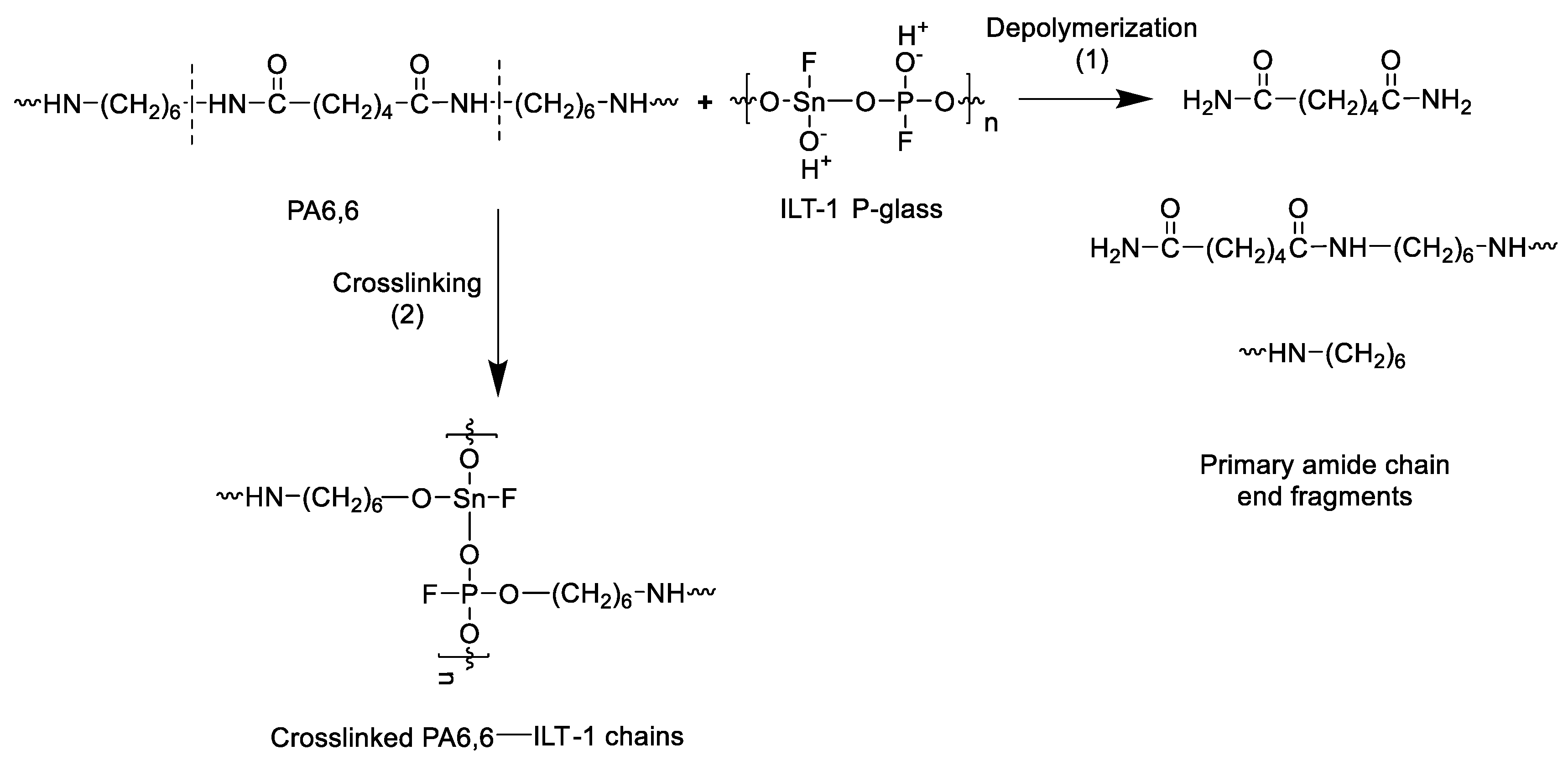 Polymers 12 01179 sch001
