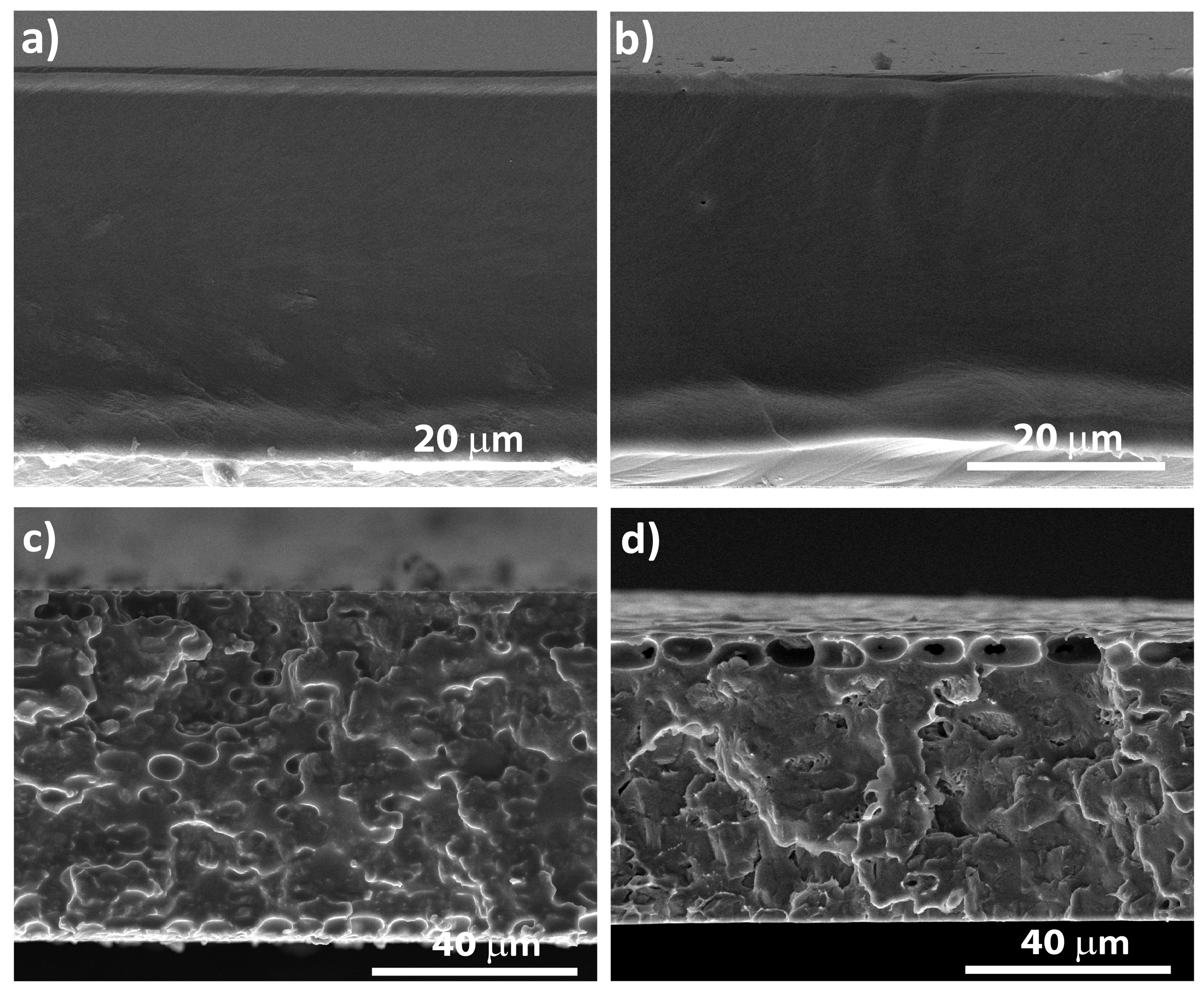 Polymers 12 01187 g002