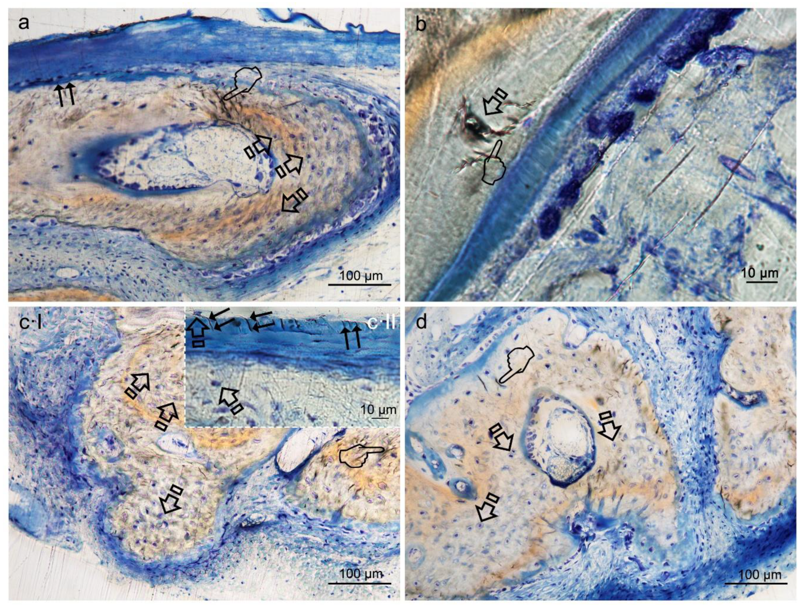 Polymers 12 01201 g003 Polymers 12 01201 g003