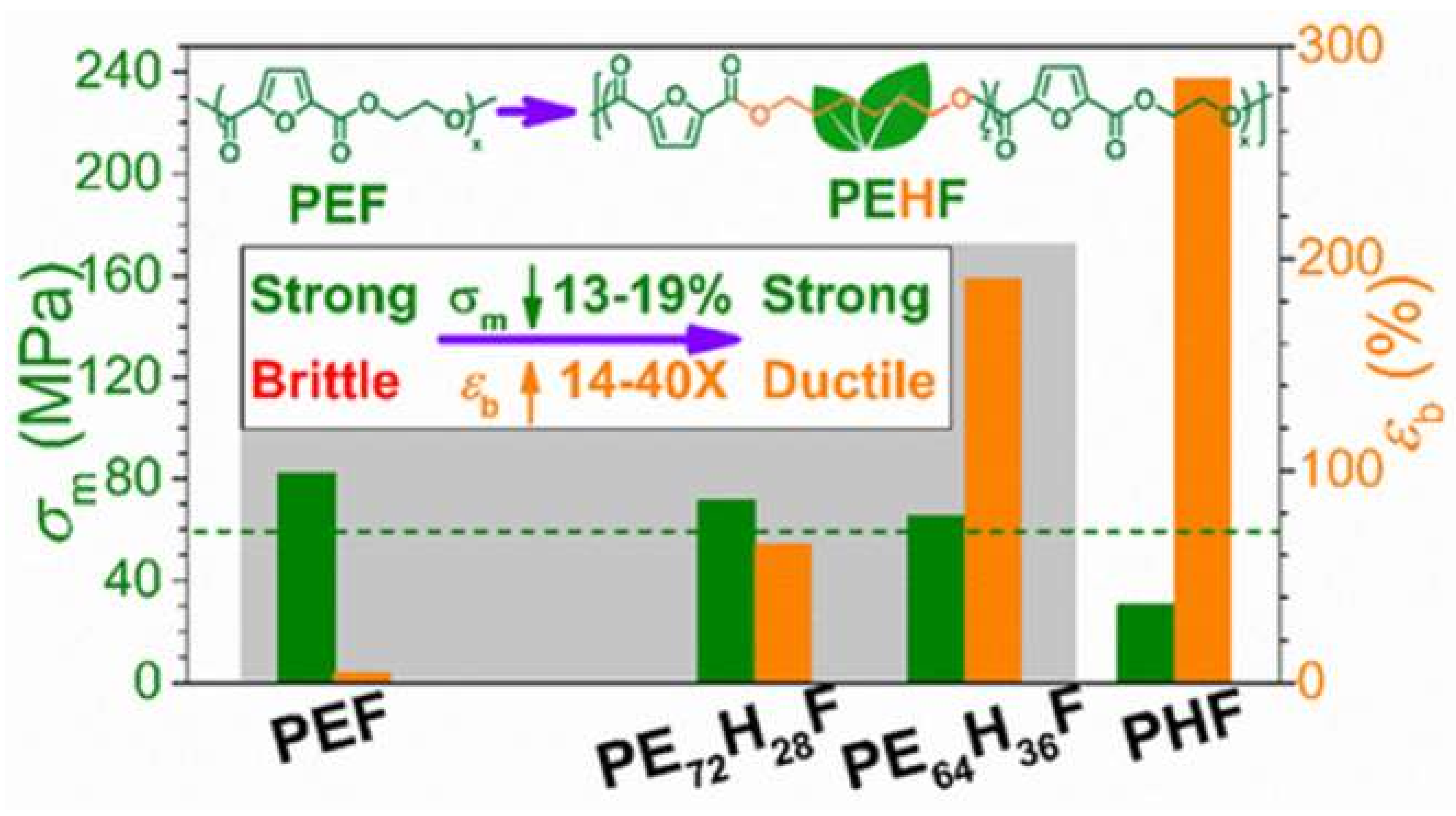 Polymers 12 01209 g013