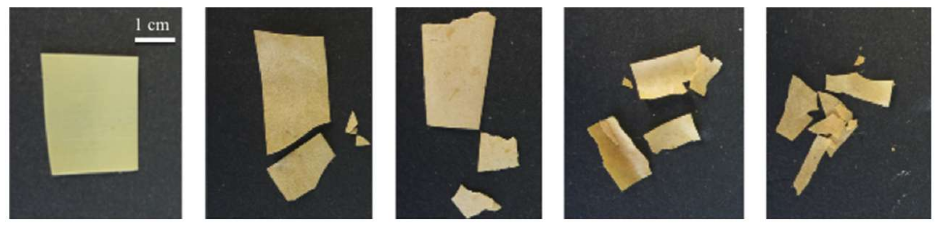 Polymers 12 01209 g024