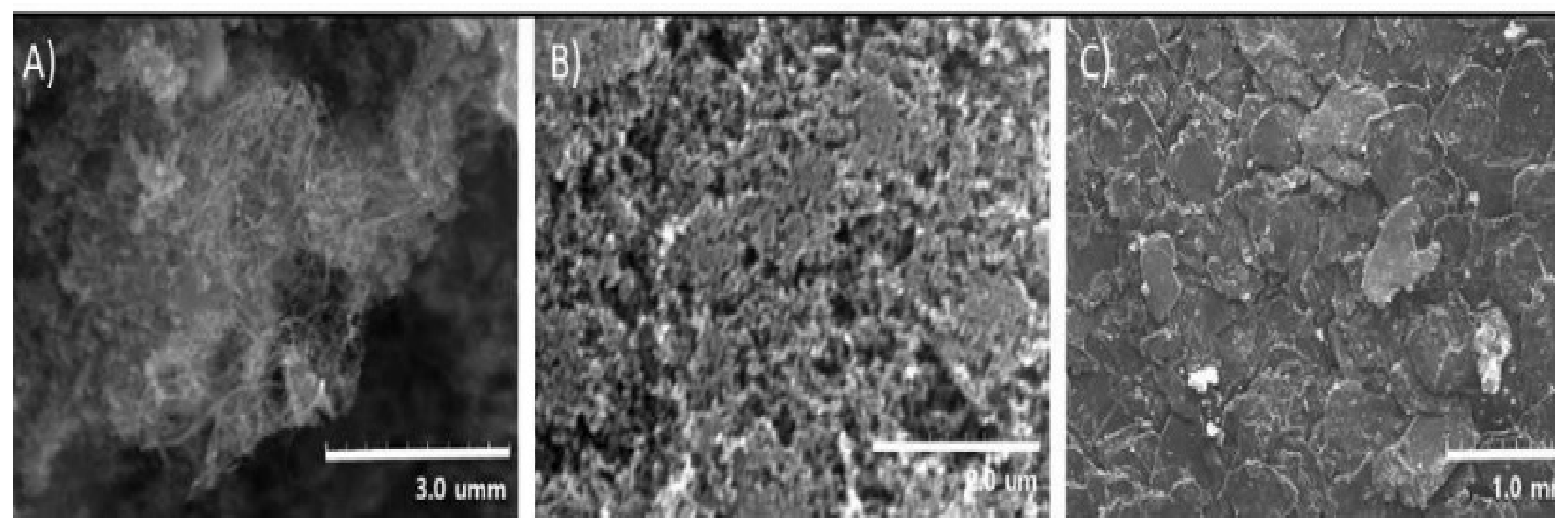 Polymers 12 01224 g007