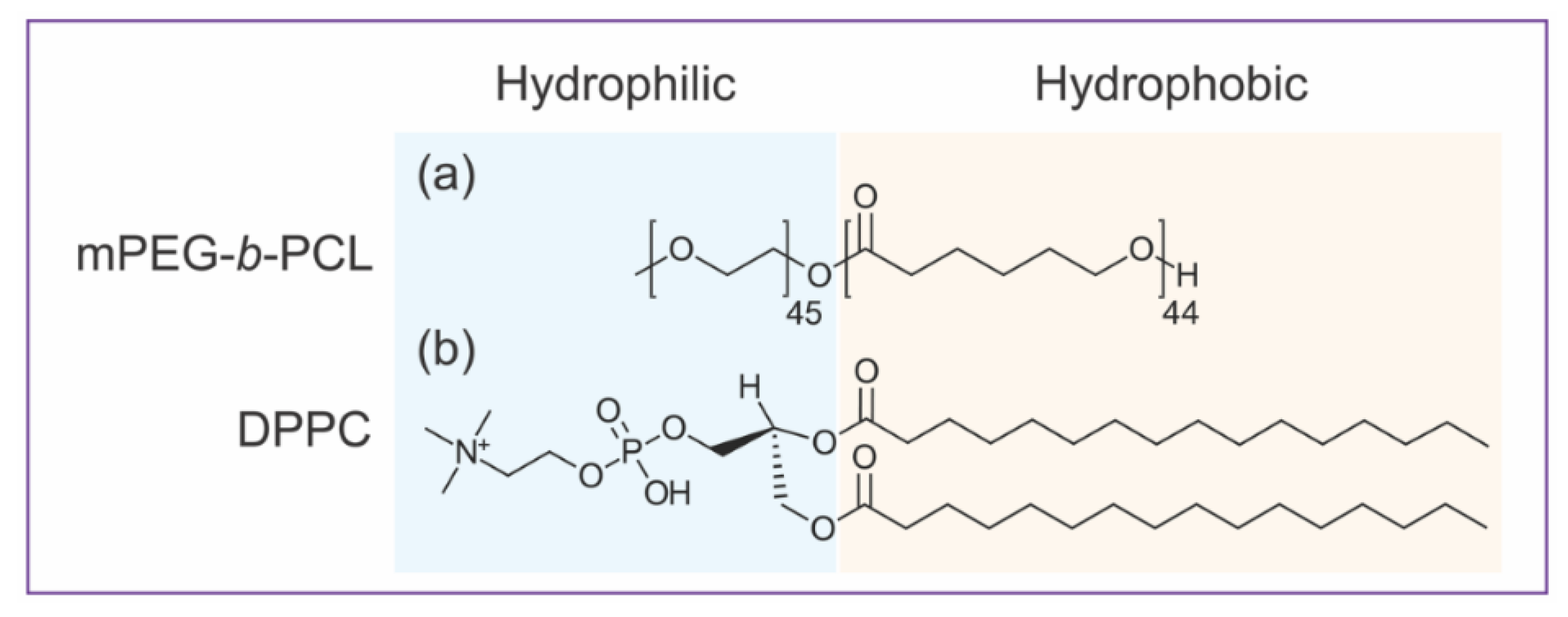 Polymers 12 01232 g001