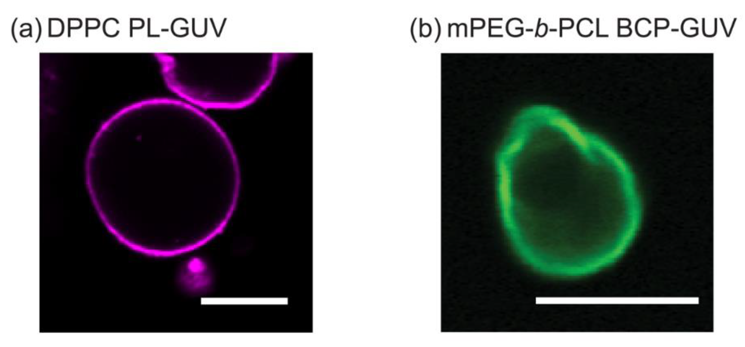 Polymers 12 01232 g003