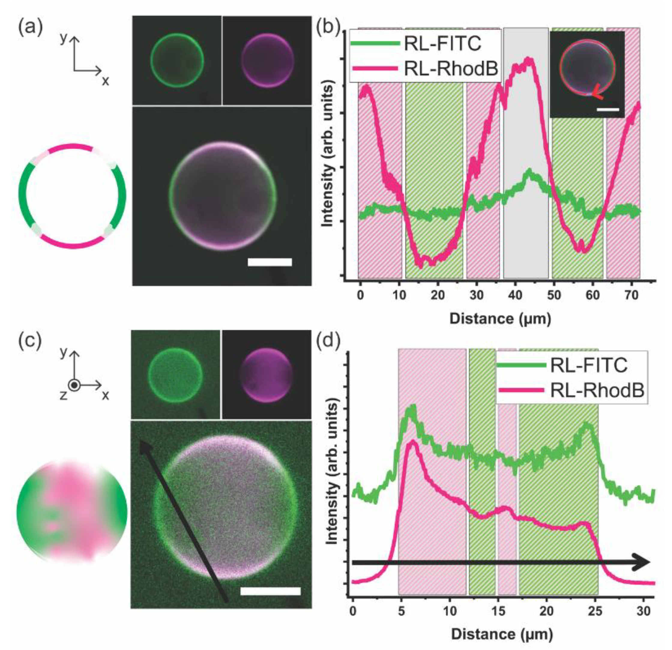 Polymers 12 01232 g004