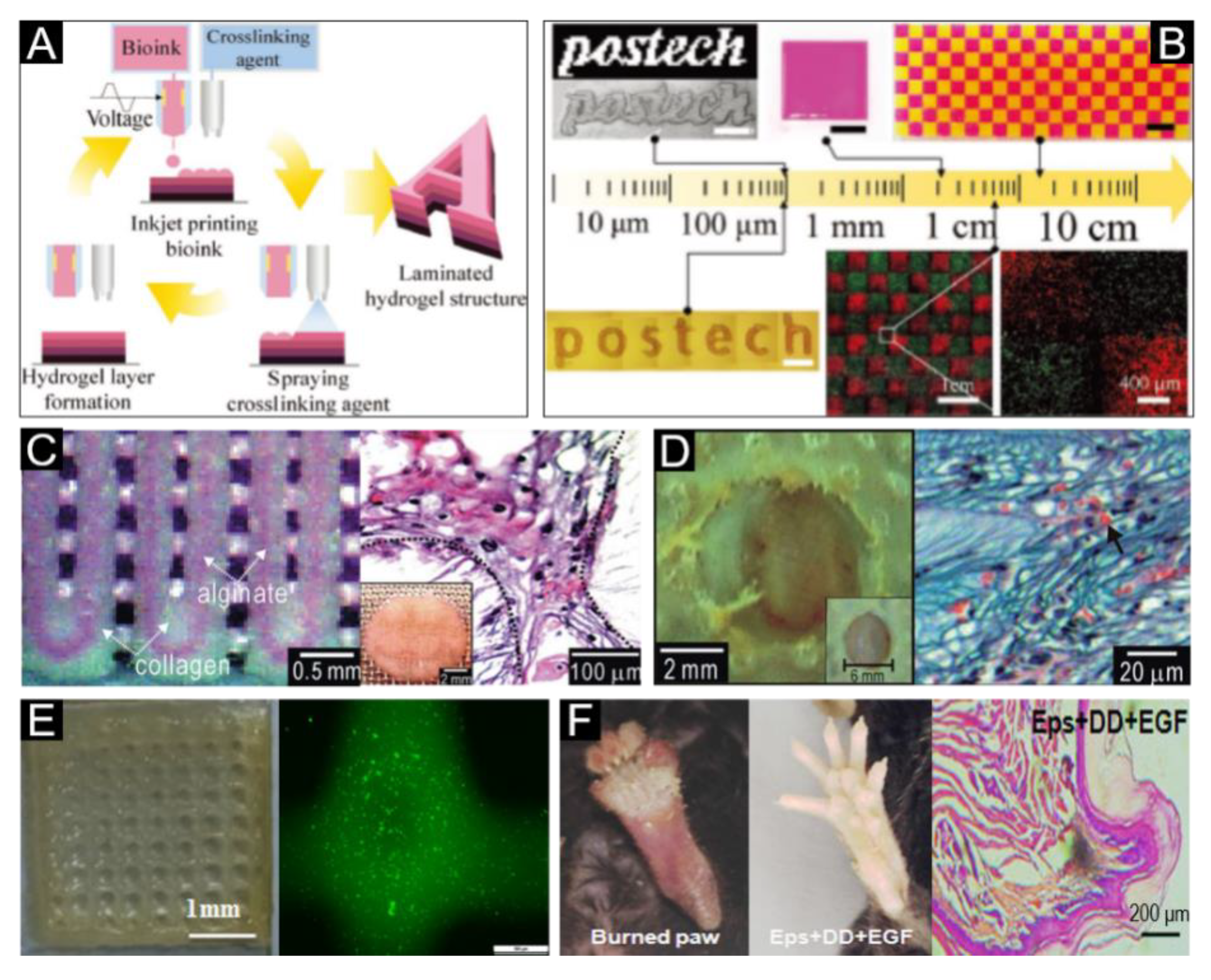 Polymers 12 01237 g005 Polymers 12 01237 g005