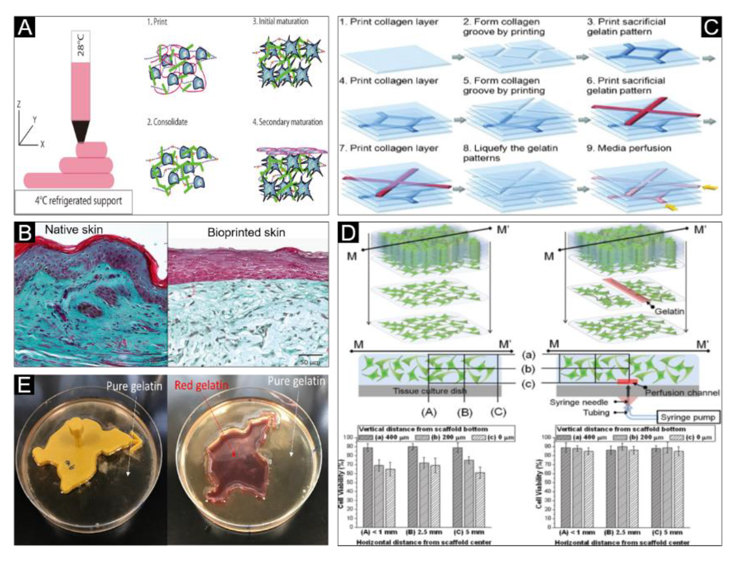 Polymers 12 01237 g006 Polymers 12 01237 g006