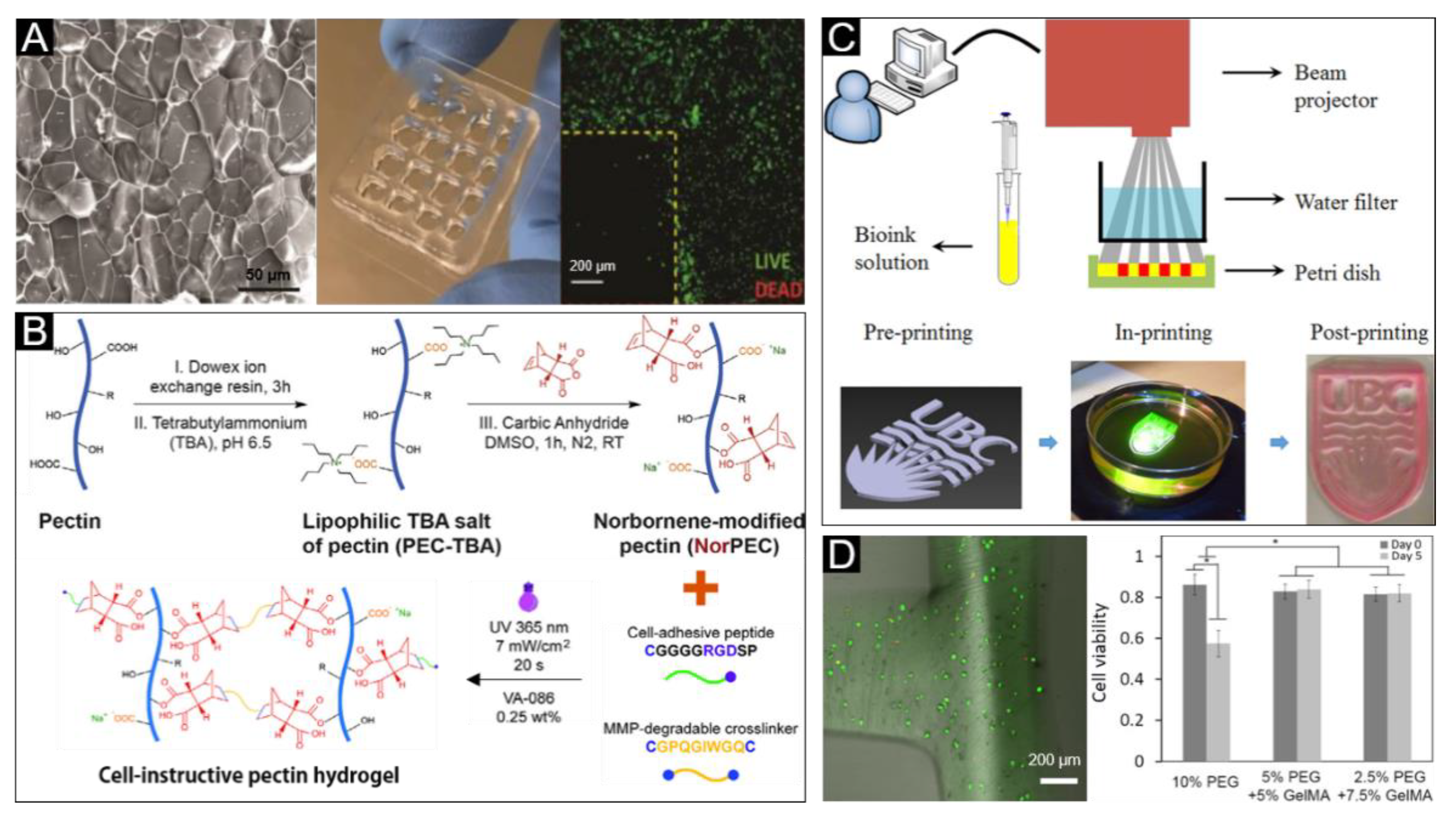 Polymers 12 01237 g007 Polymers 12 01237 g007