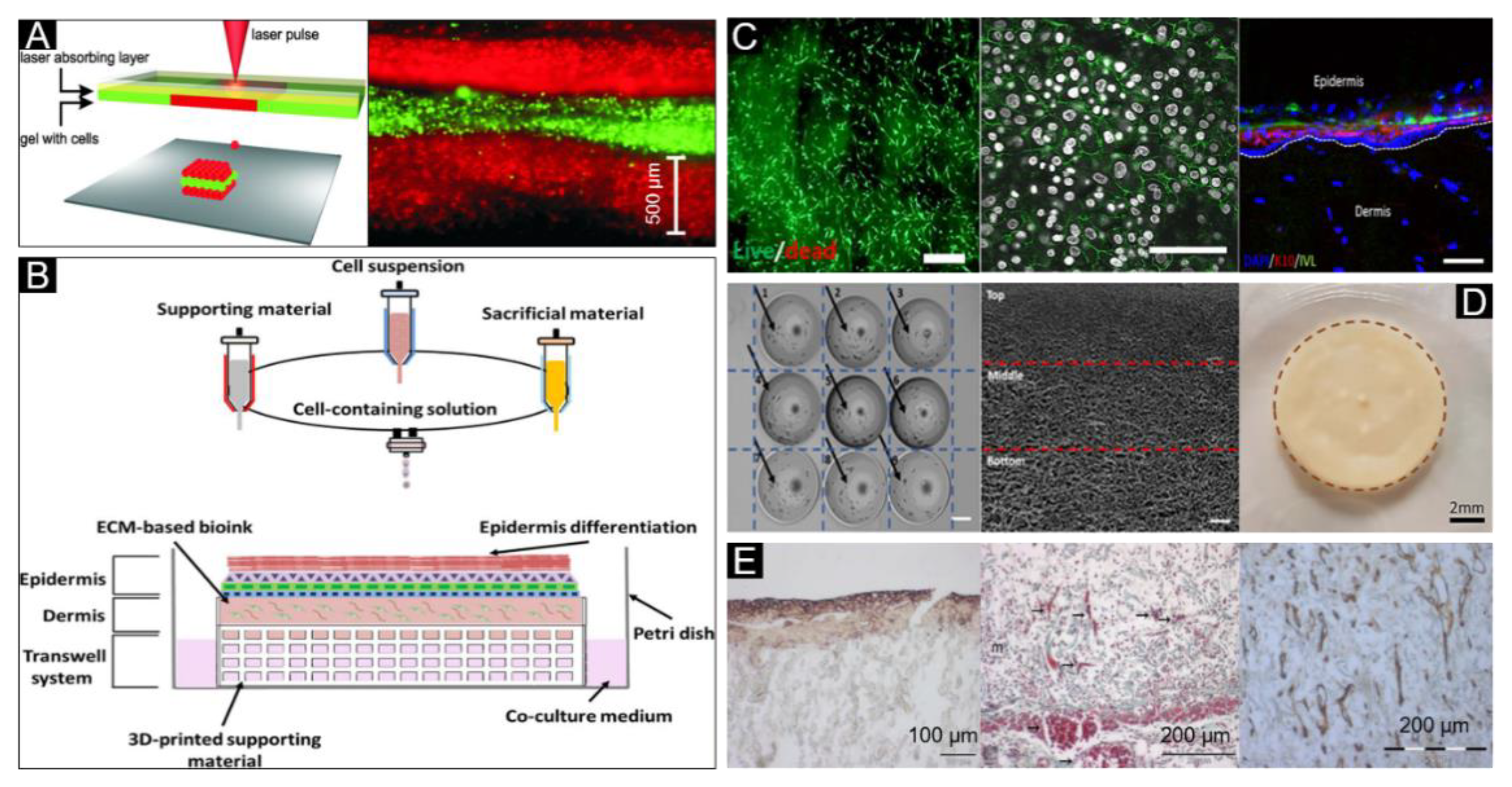 Polymers 12 01237 g008 Polymers 12 01237 g008