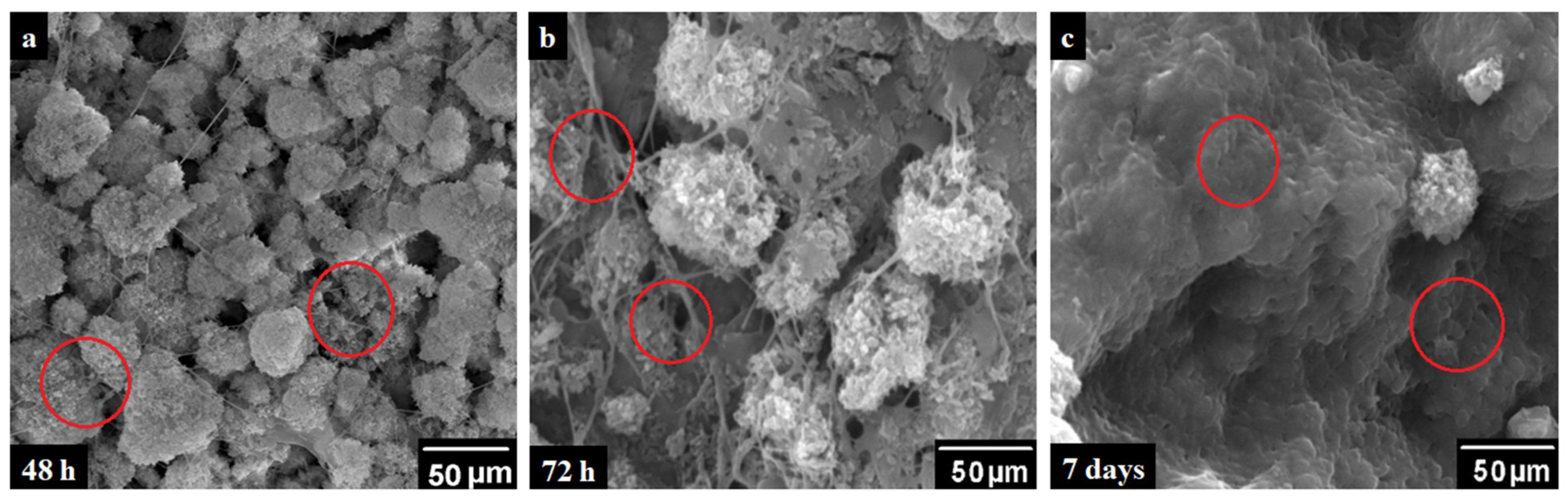 Polymers 12 01238 g010