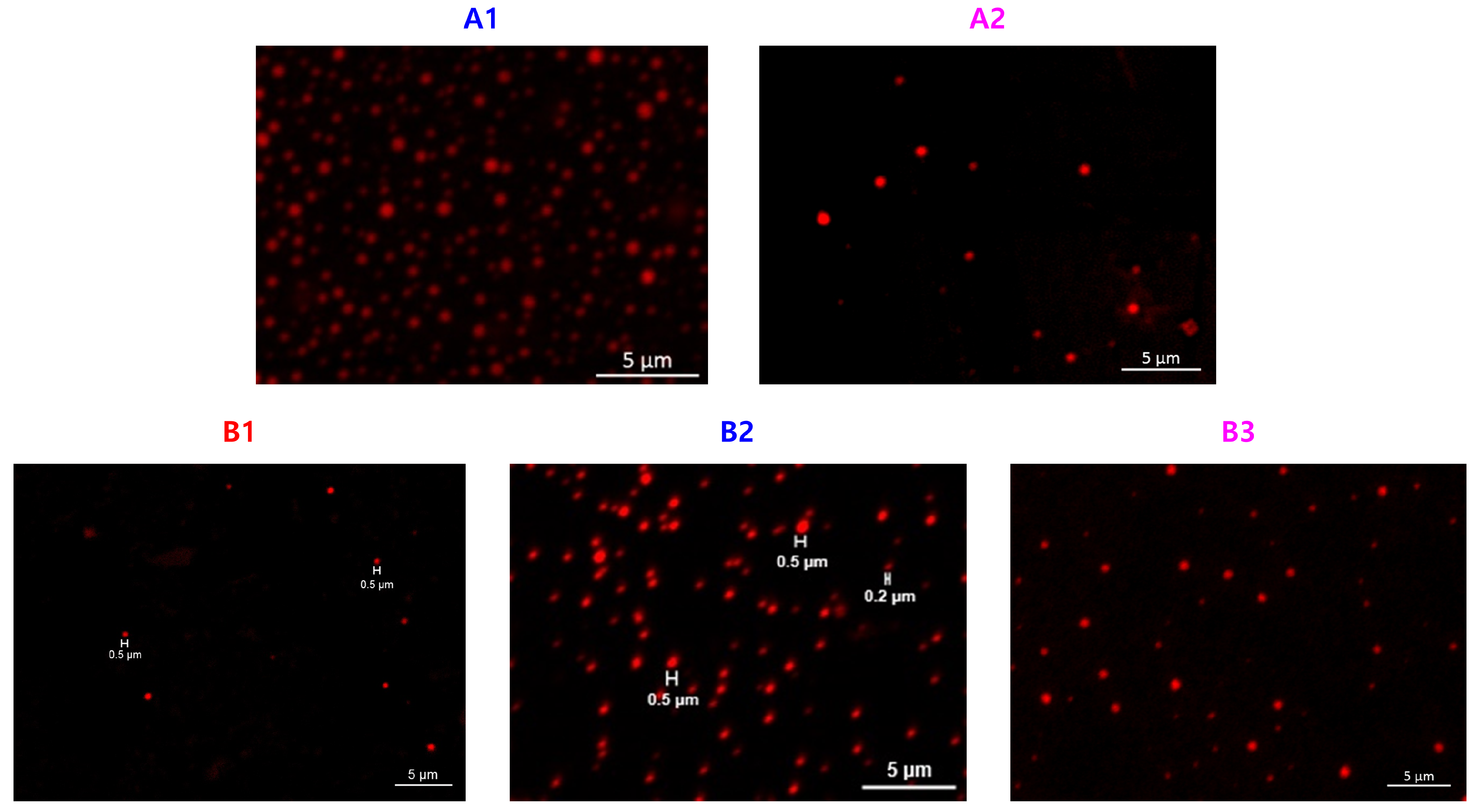 Polymers 12 01244 g009
