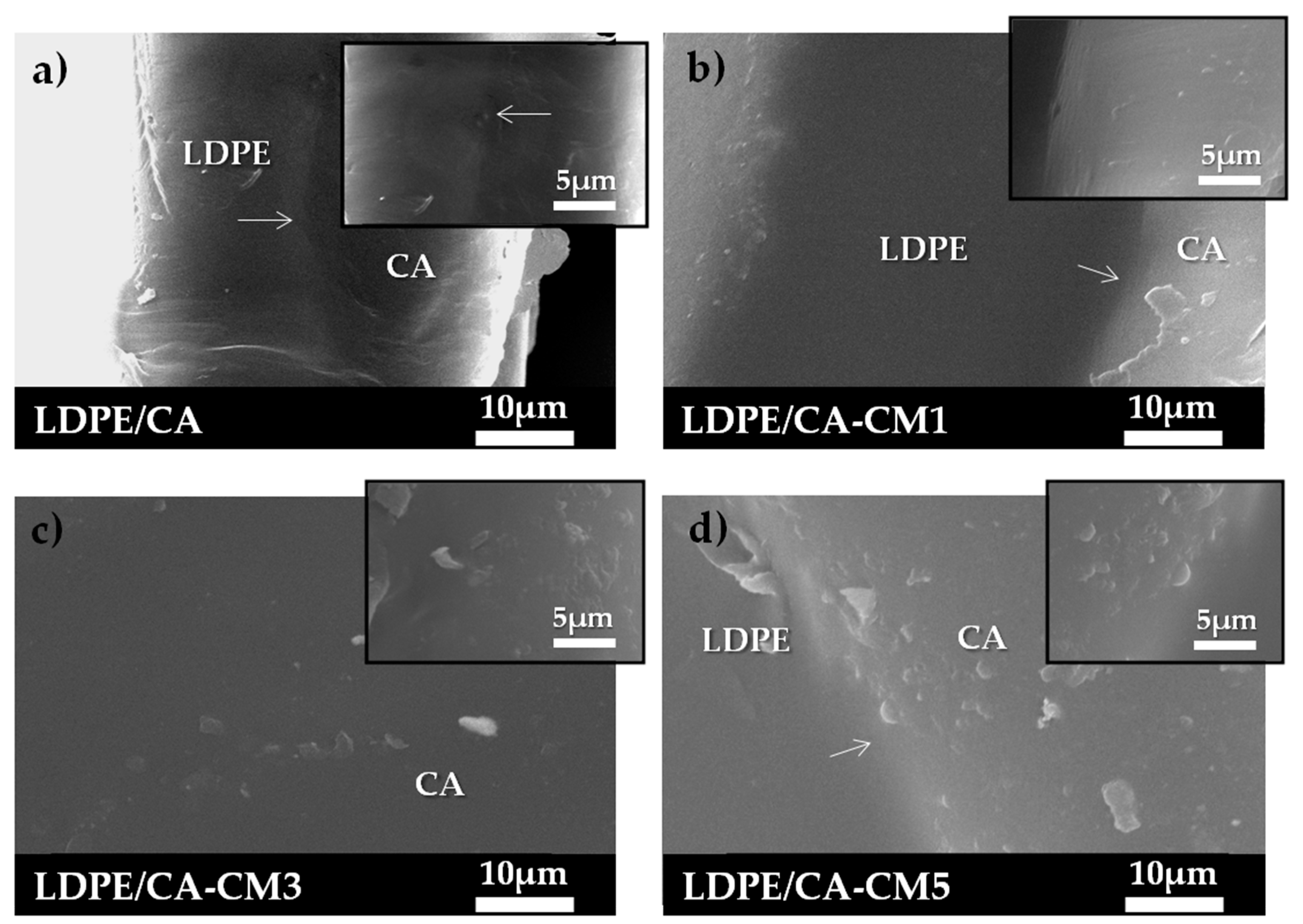 Polymers 12 01248 g004
