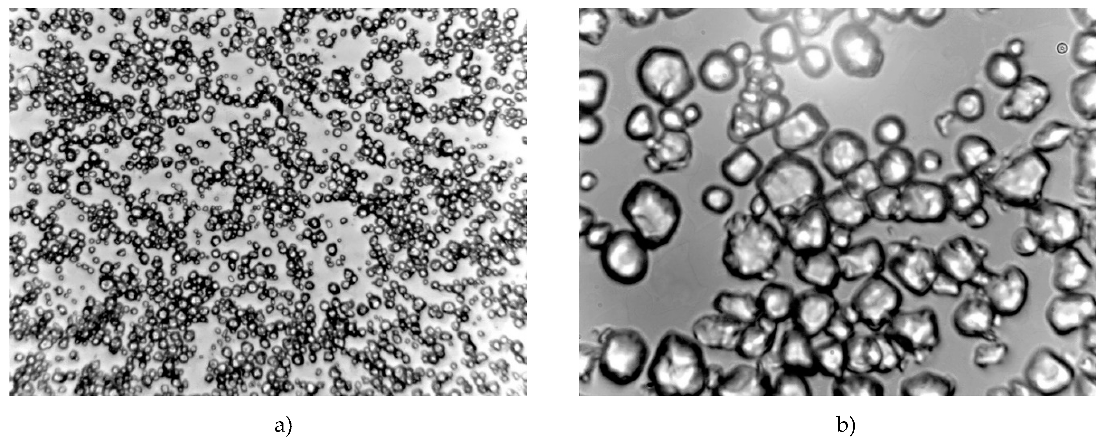 Polymers 12 01251 g006