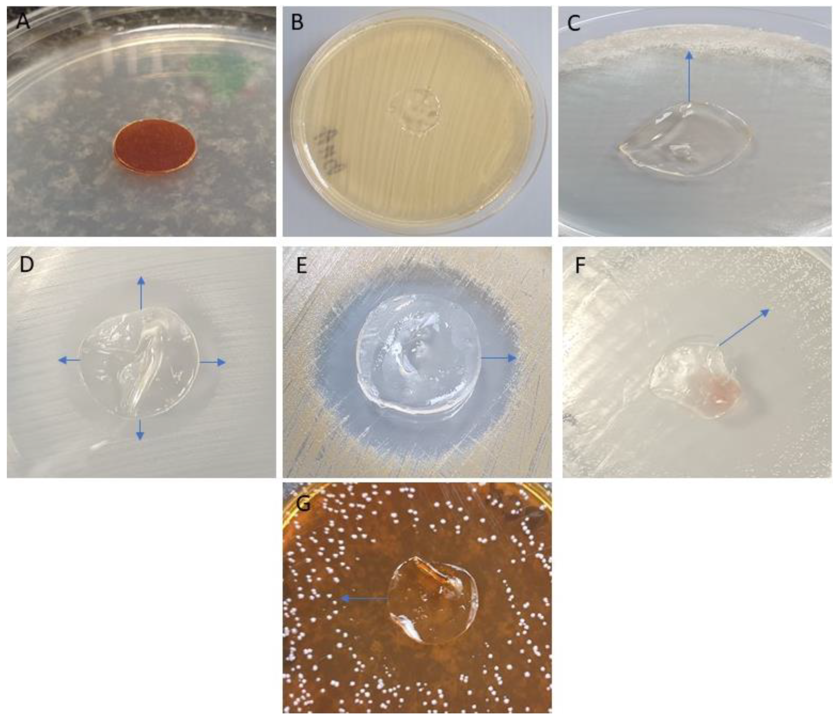 Polymers 12 01271 g006
