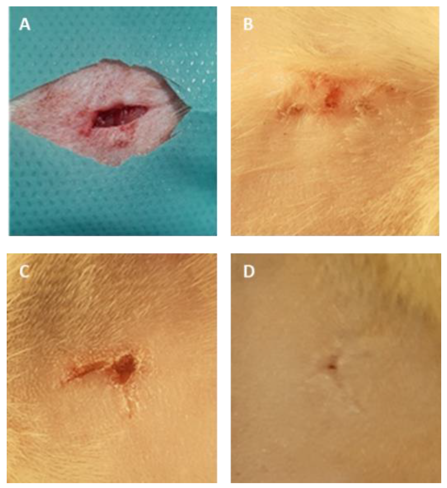 Polymers 12 01271 g008