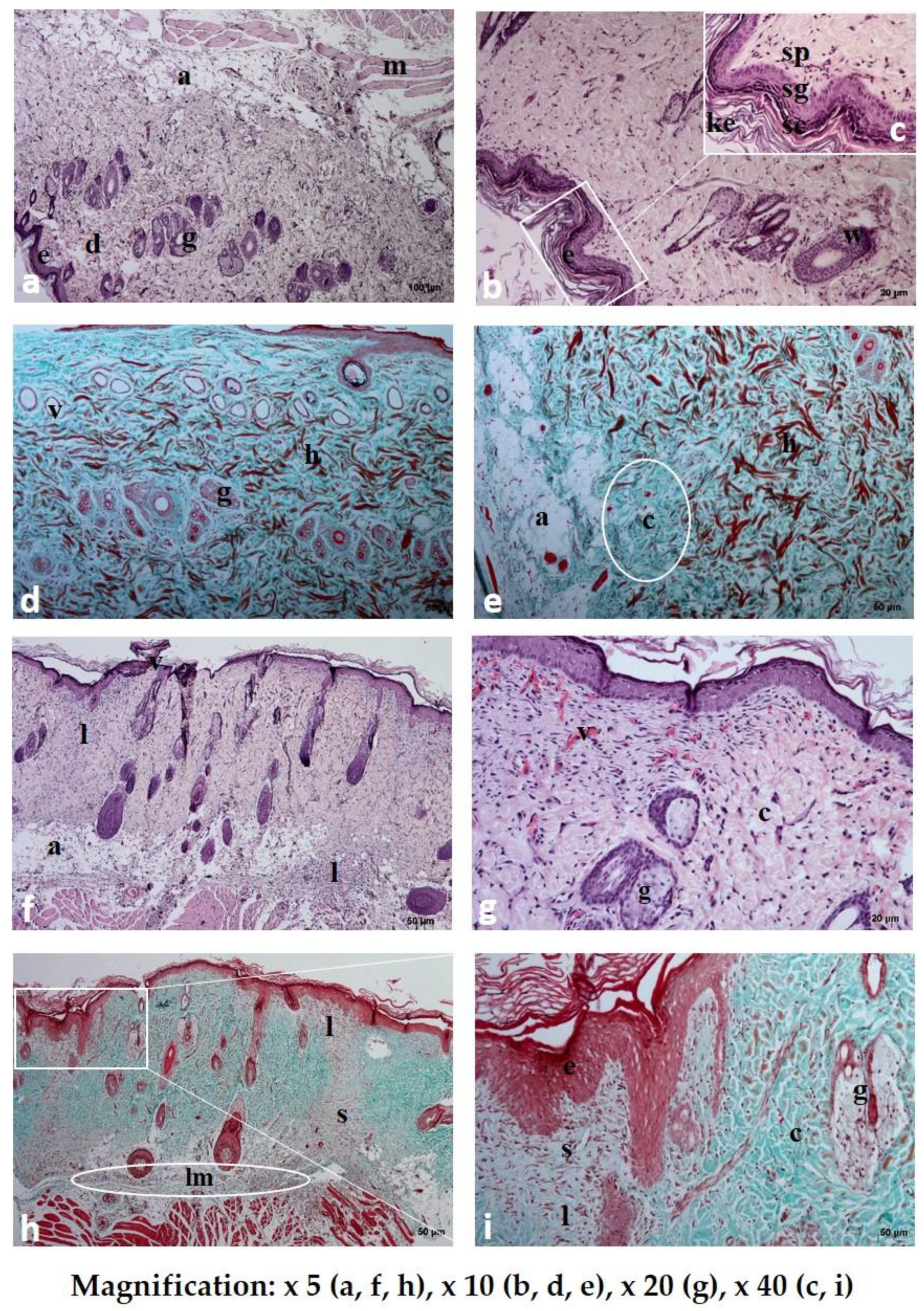 Polymers 12 01271 g009