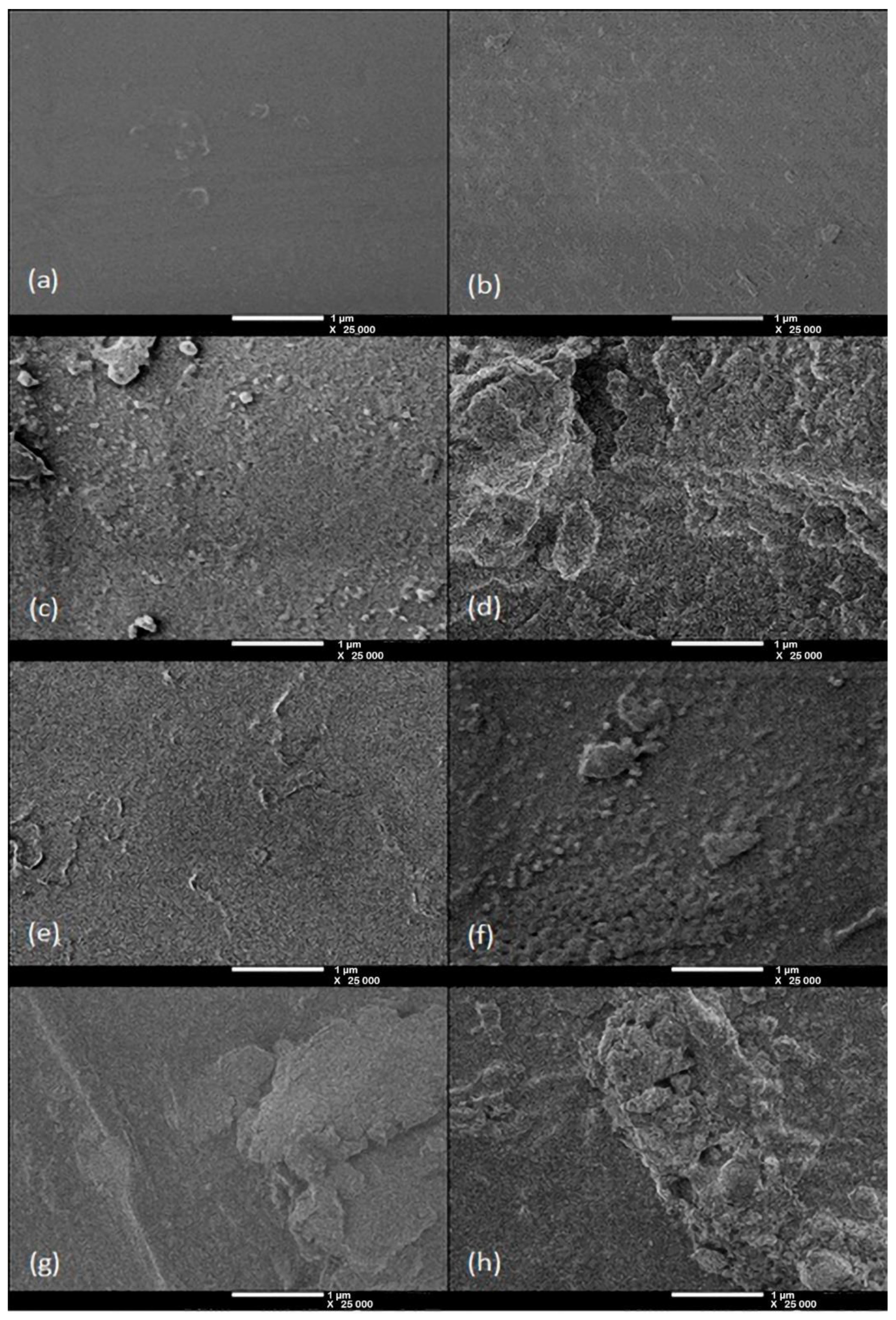 Polymers 12 01284 g004 Polymers 12 01284 g004