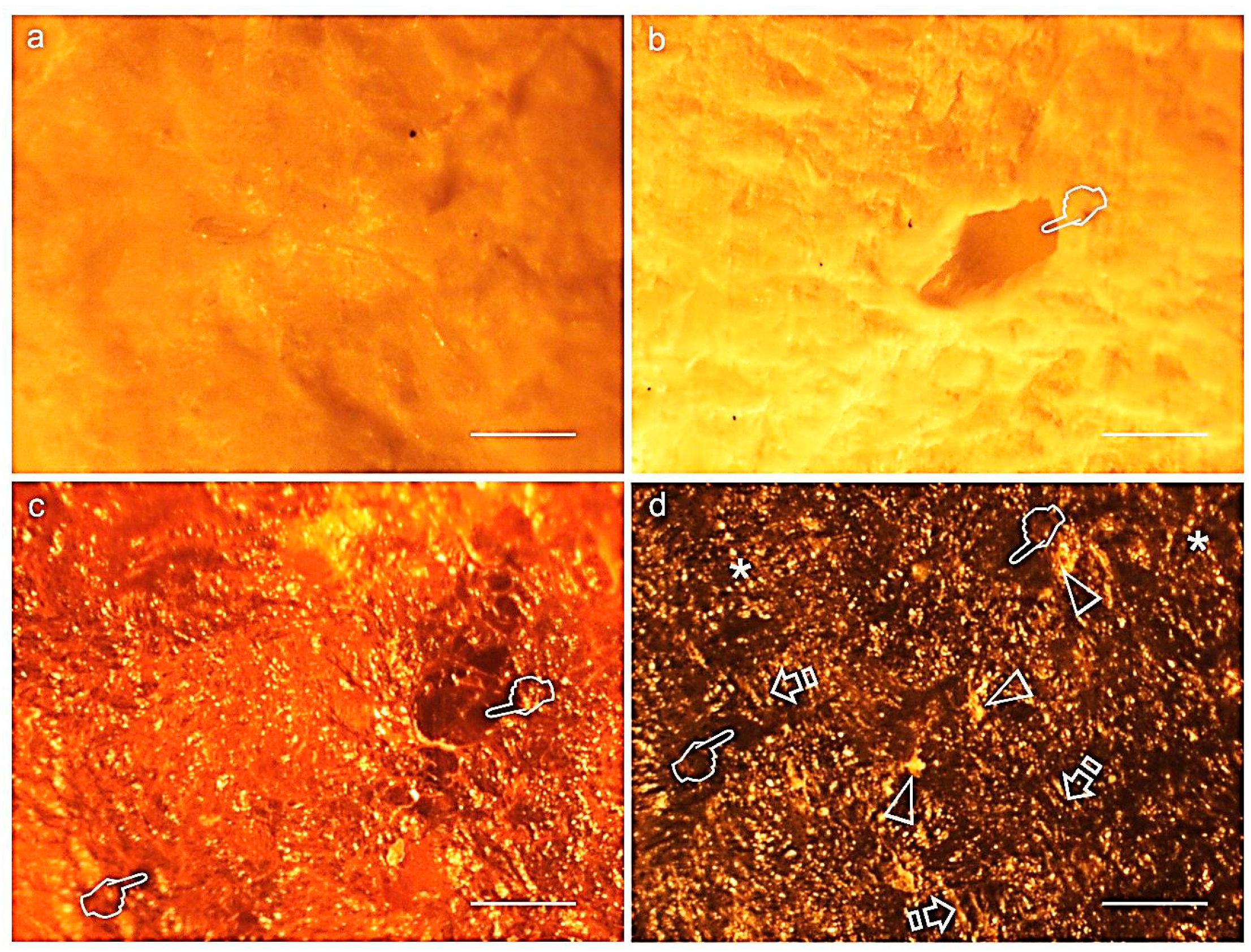 Polymers 12 01290 g003