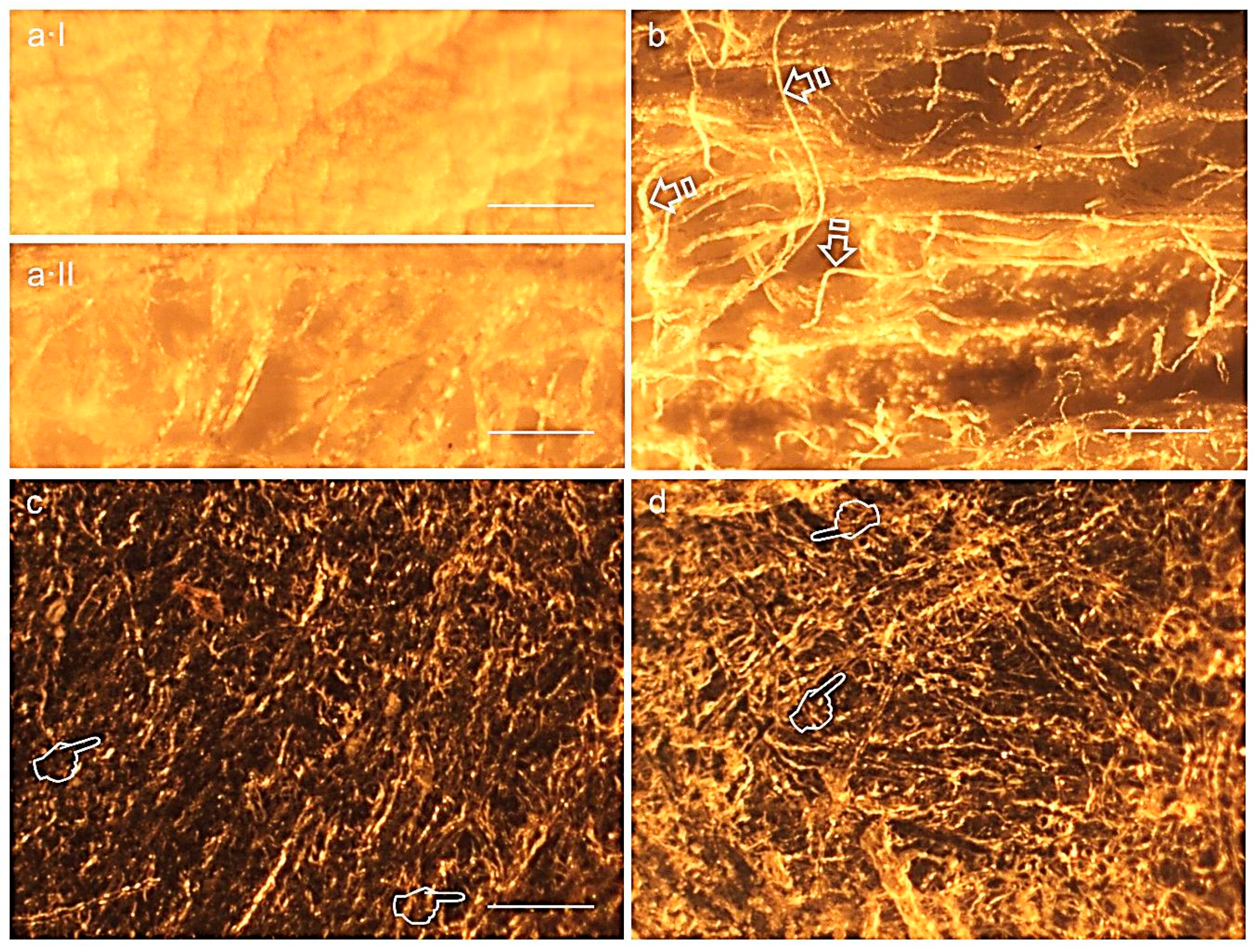 Polymers 12 01290 g004