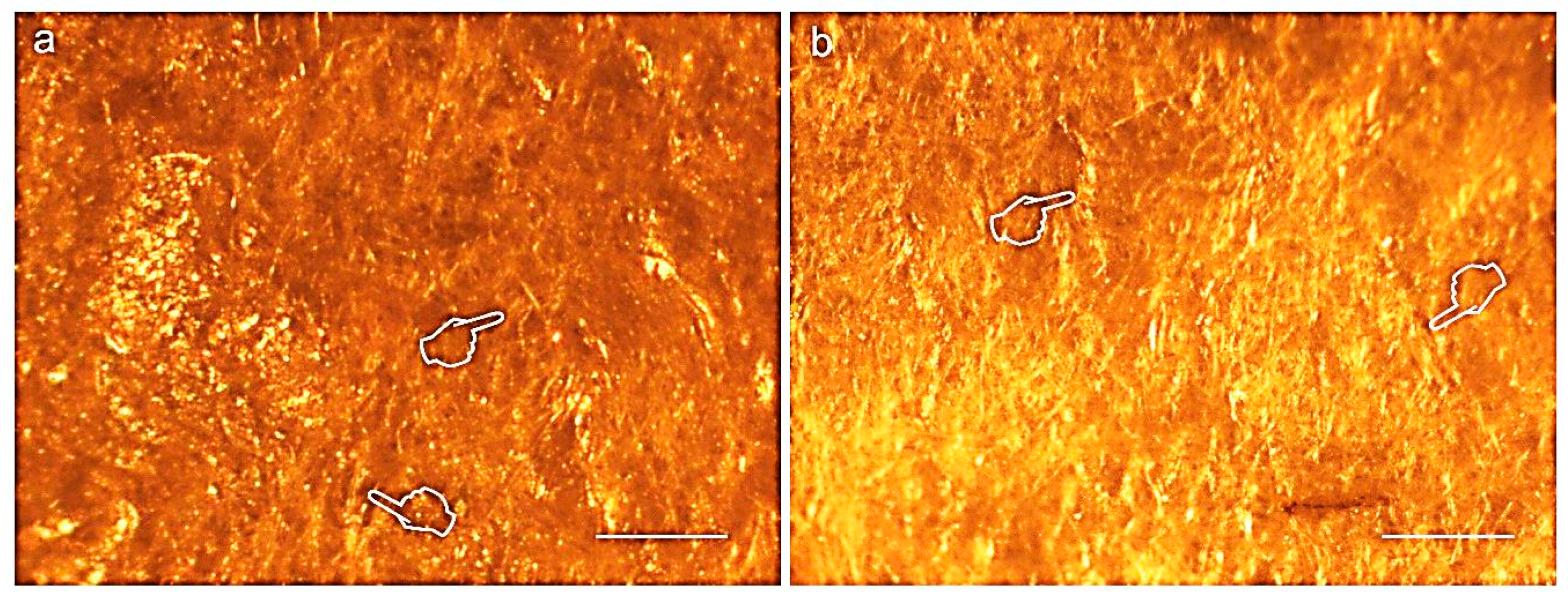 Polymers 12 01290 g005