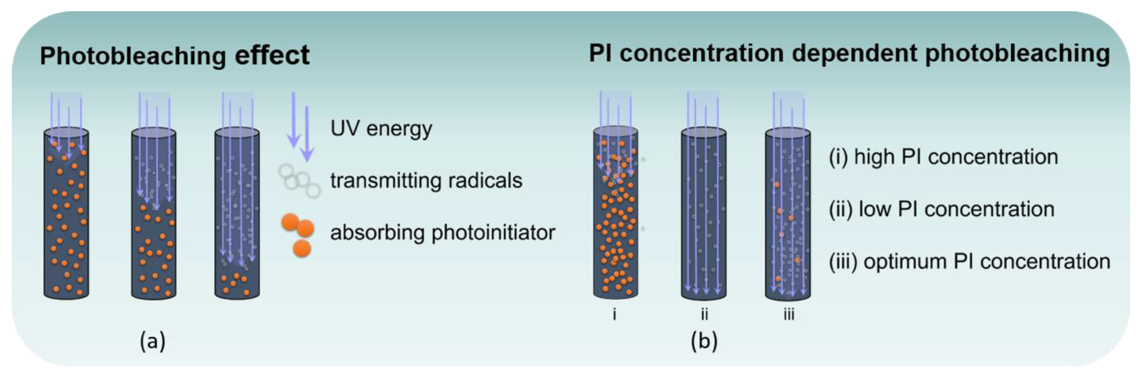 Polymers 12 01291 g001