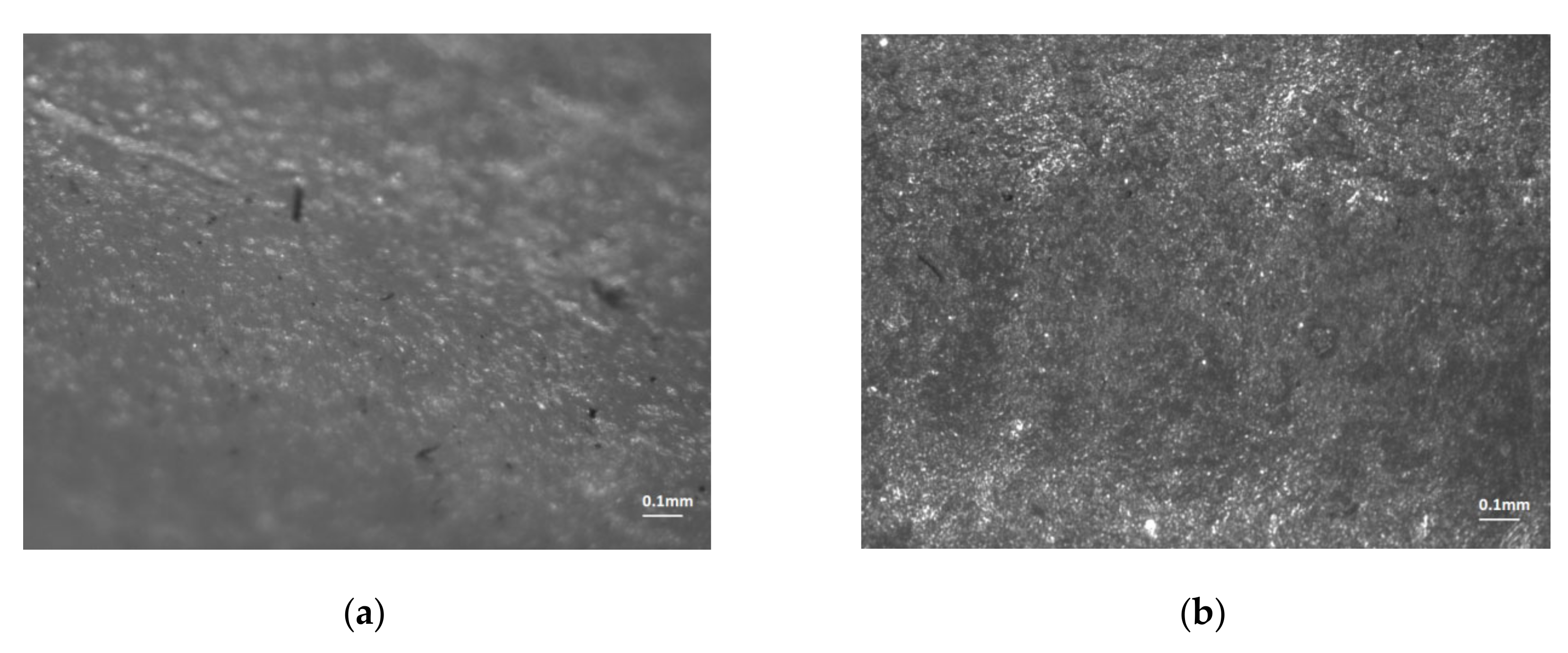 Polymers 12 01292 g019