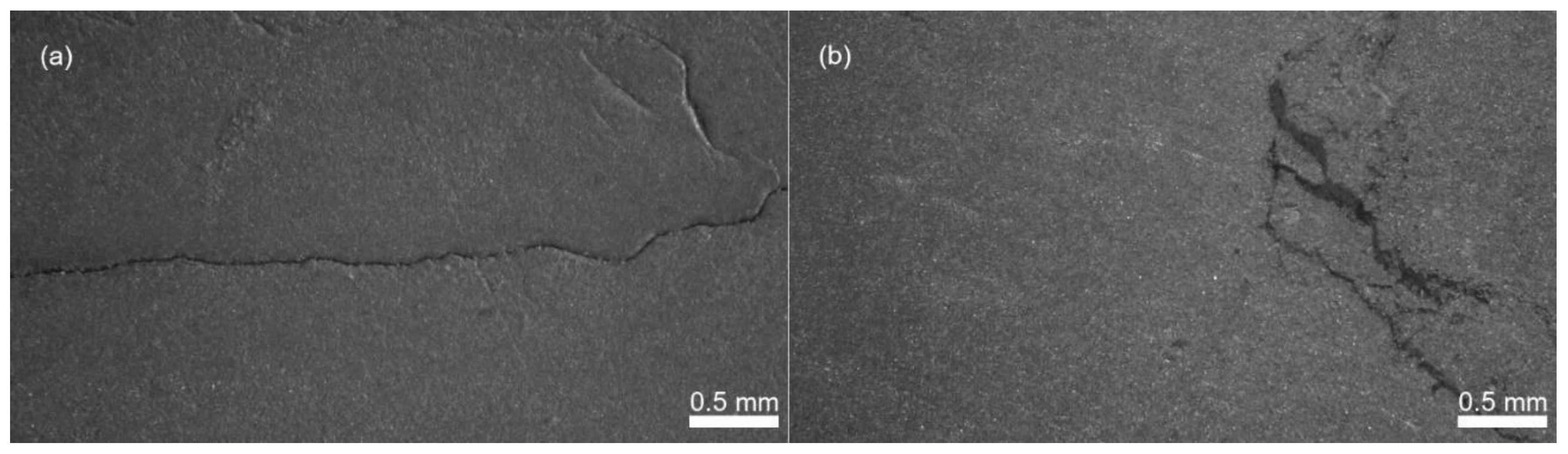 Polymers 12 01296 g004