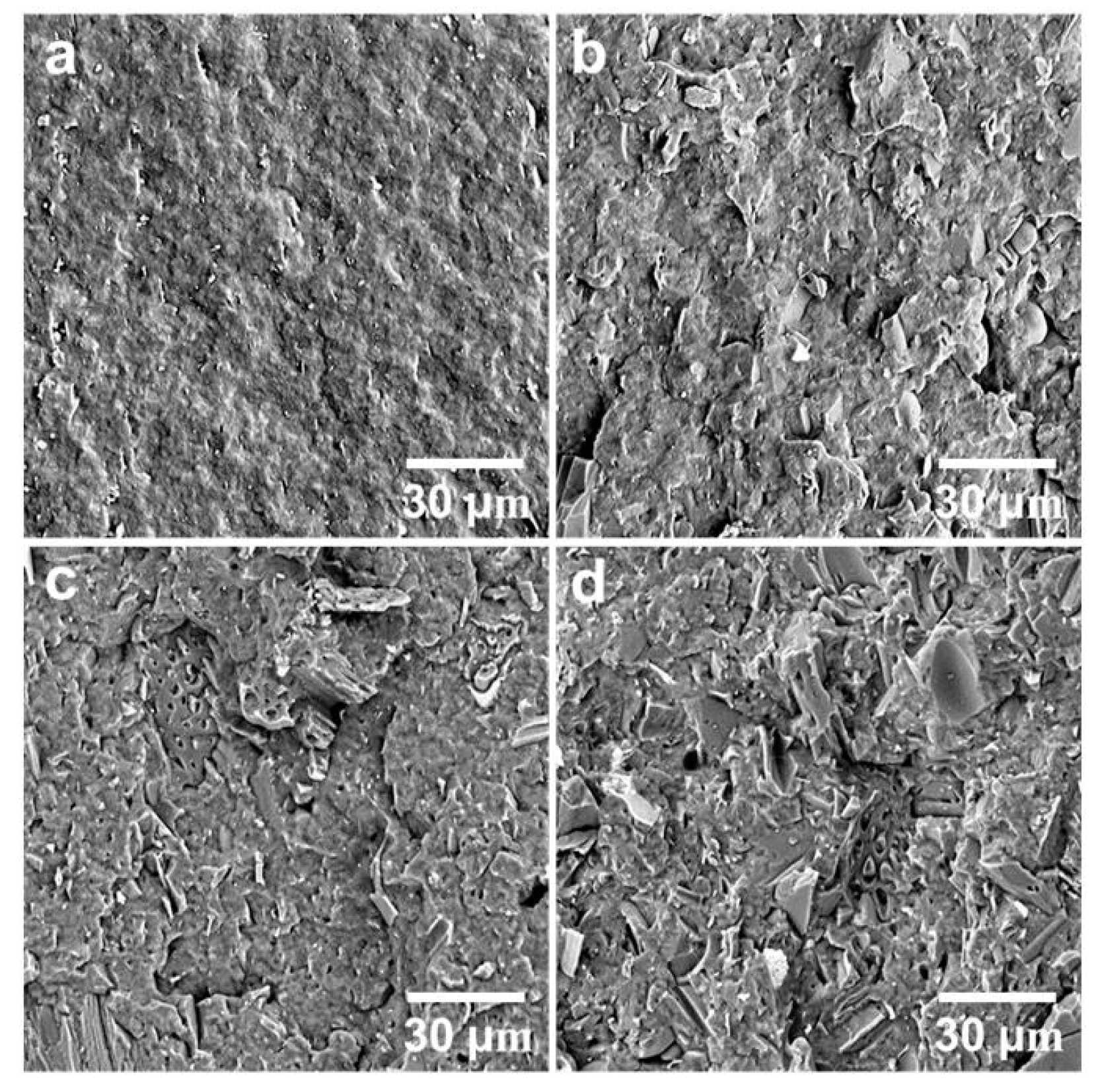 Polymers 12 01300 g004 Polymers 12 01300 g004