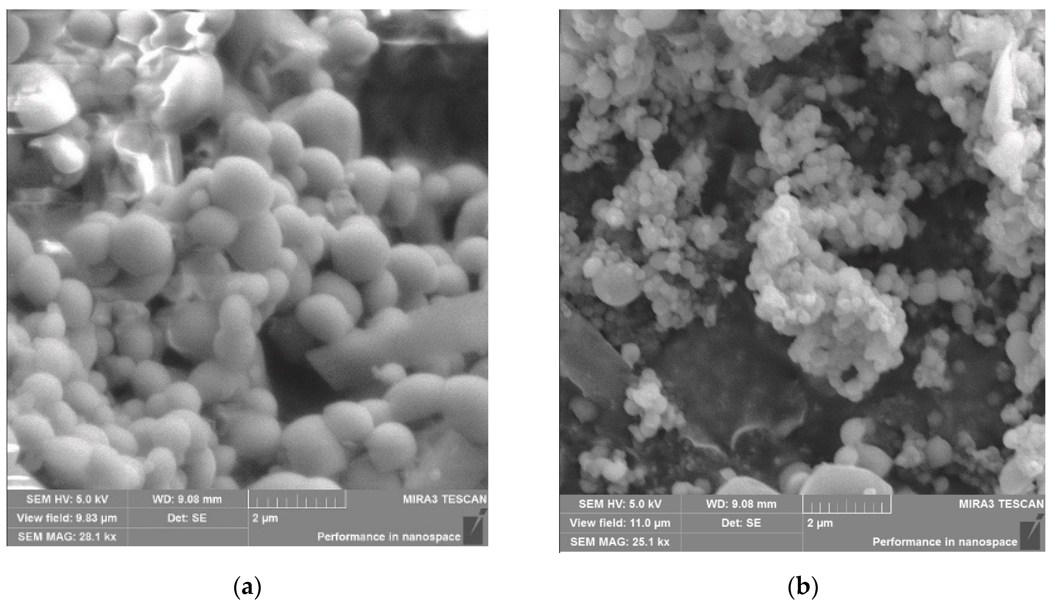 Polymers 12 01301 g005