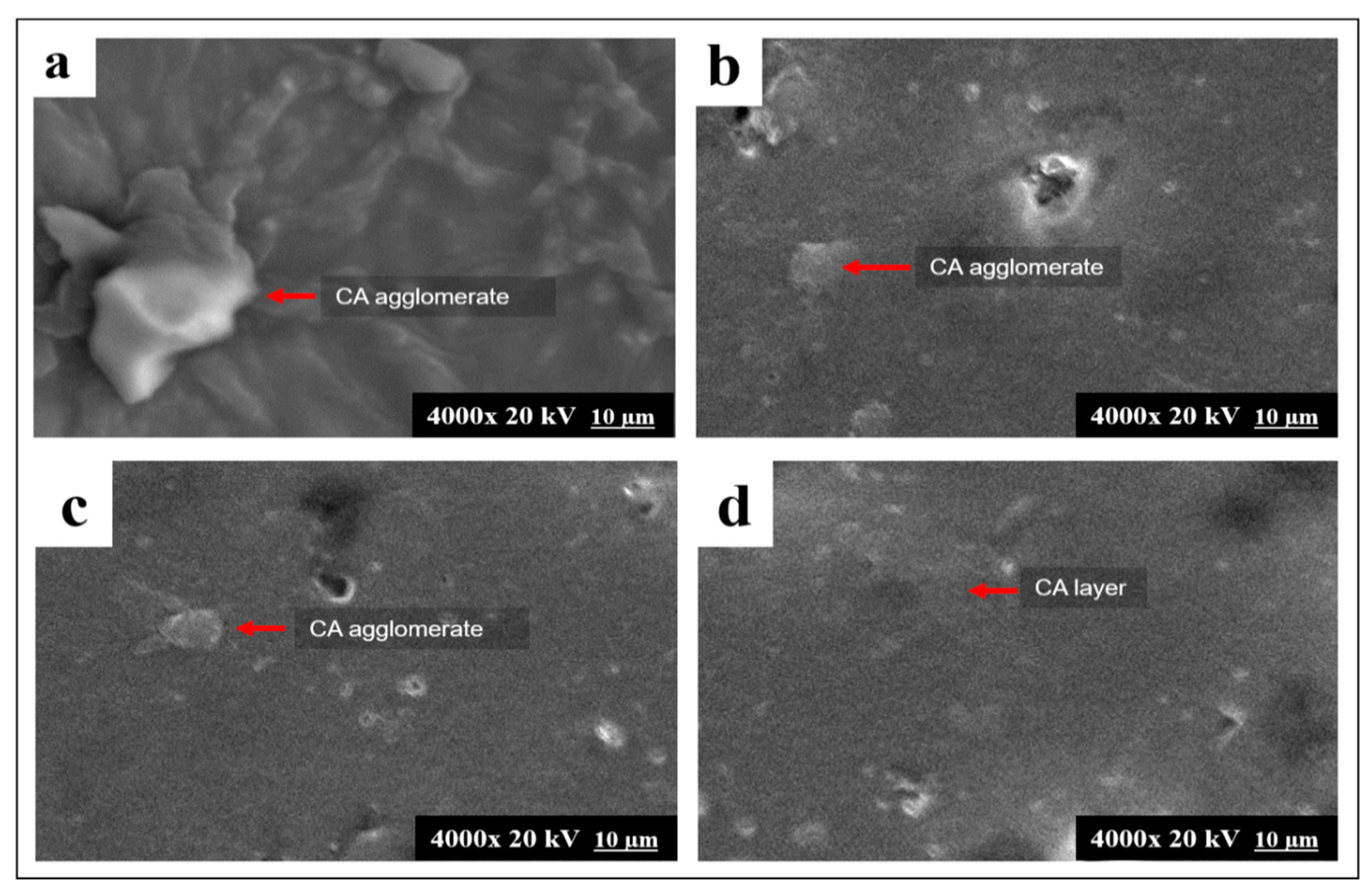 Polymers 12 01317 g004