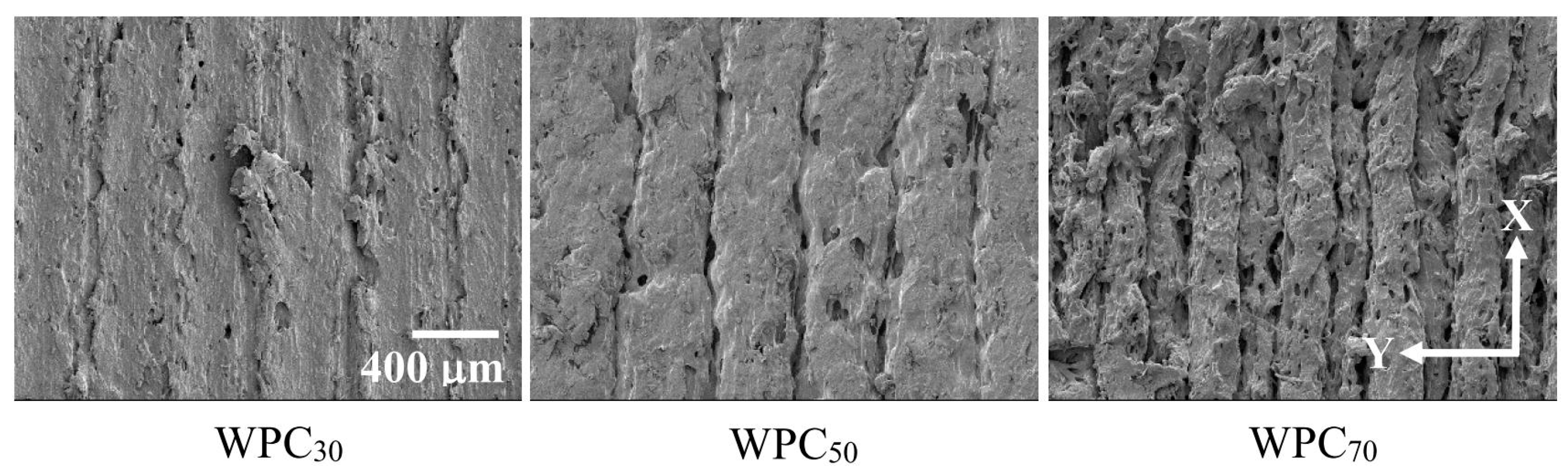 Polymers 12 01334 g007