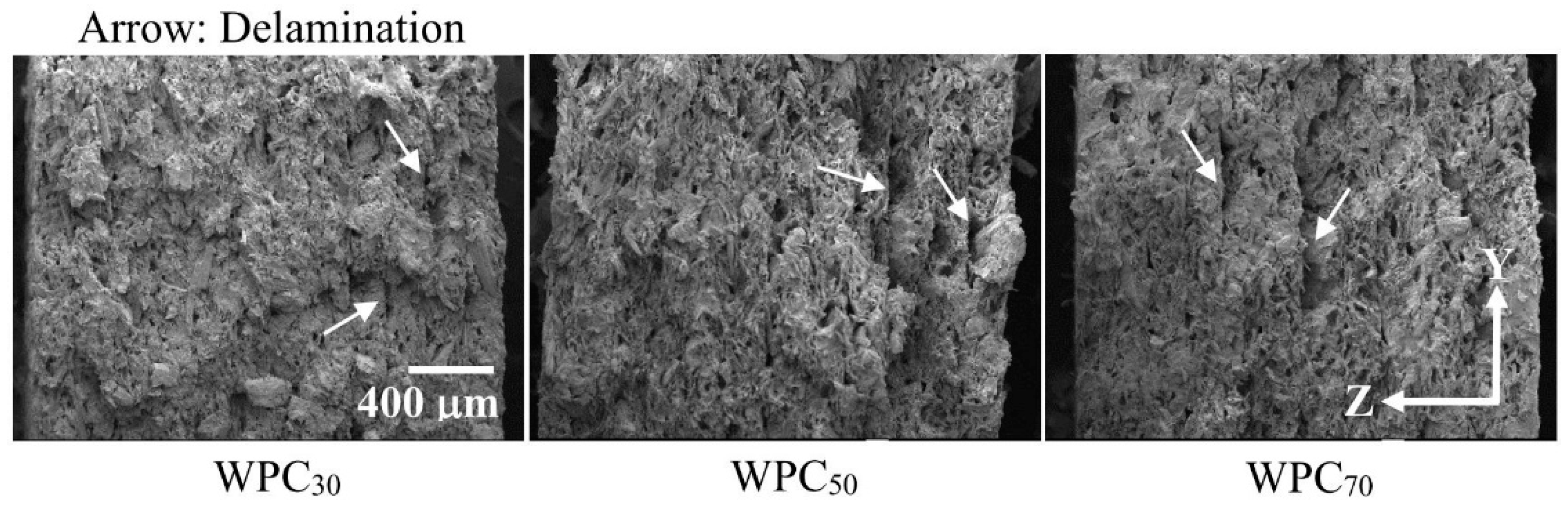 Polymers 12 01334 g009