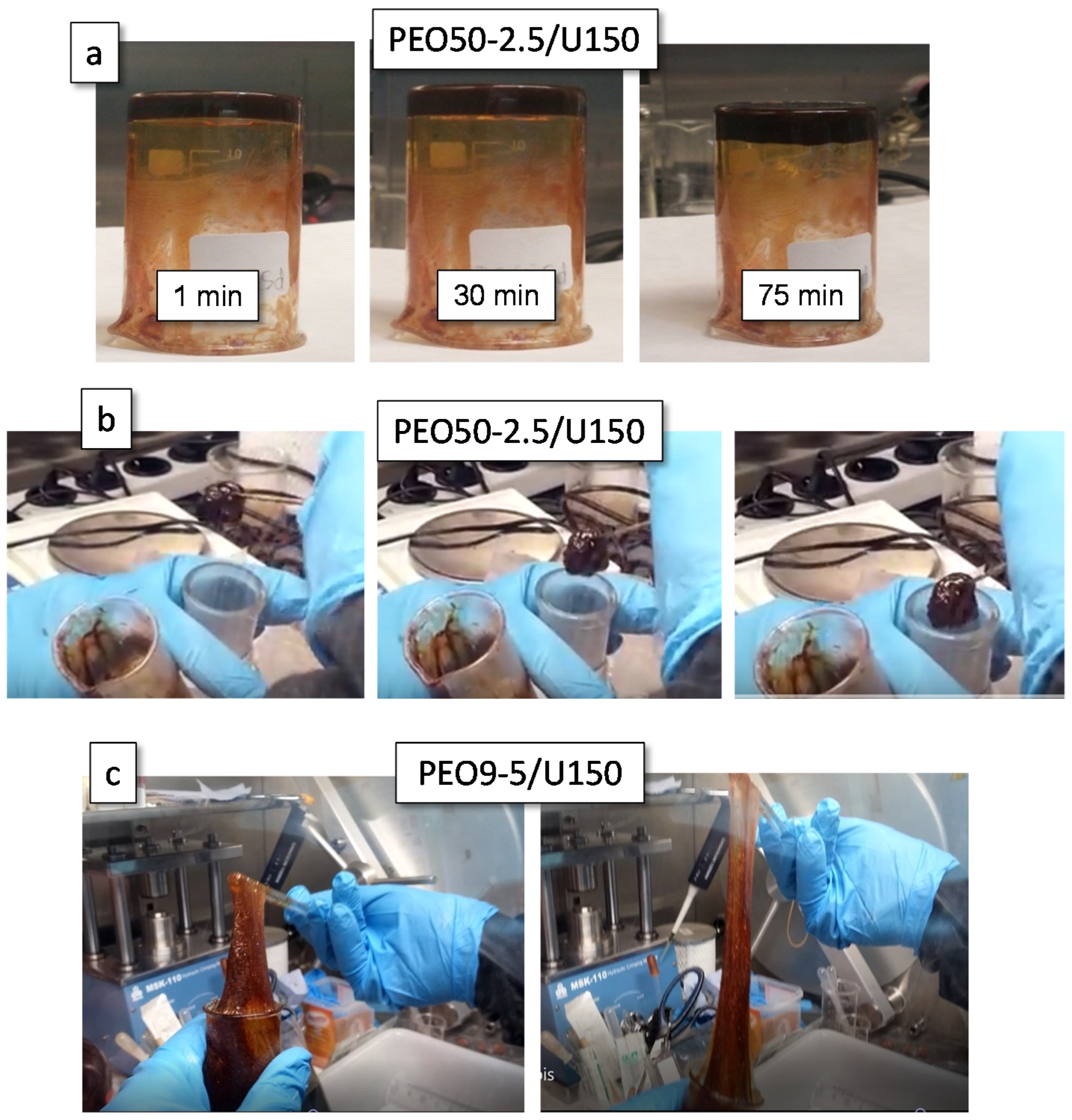 Polymers 12 01336 g001 Polymers 12 01336 g001