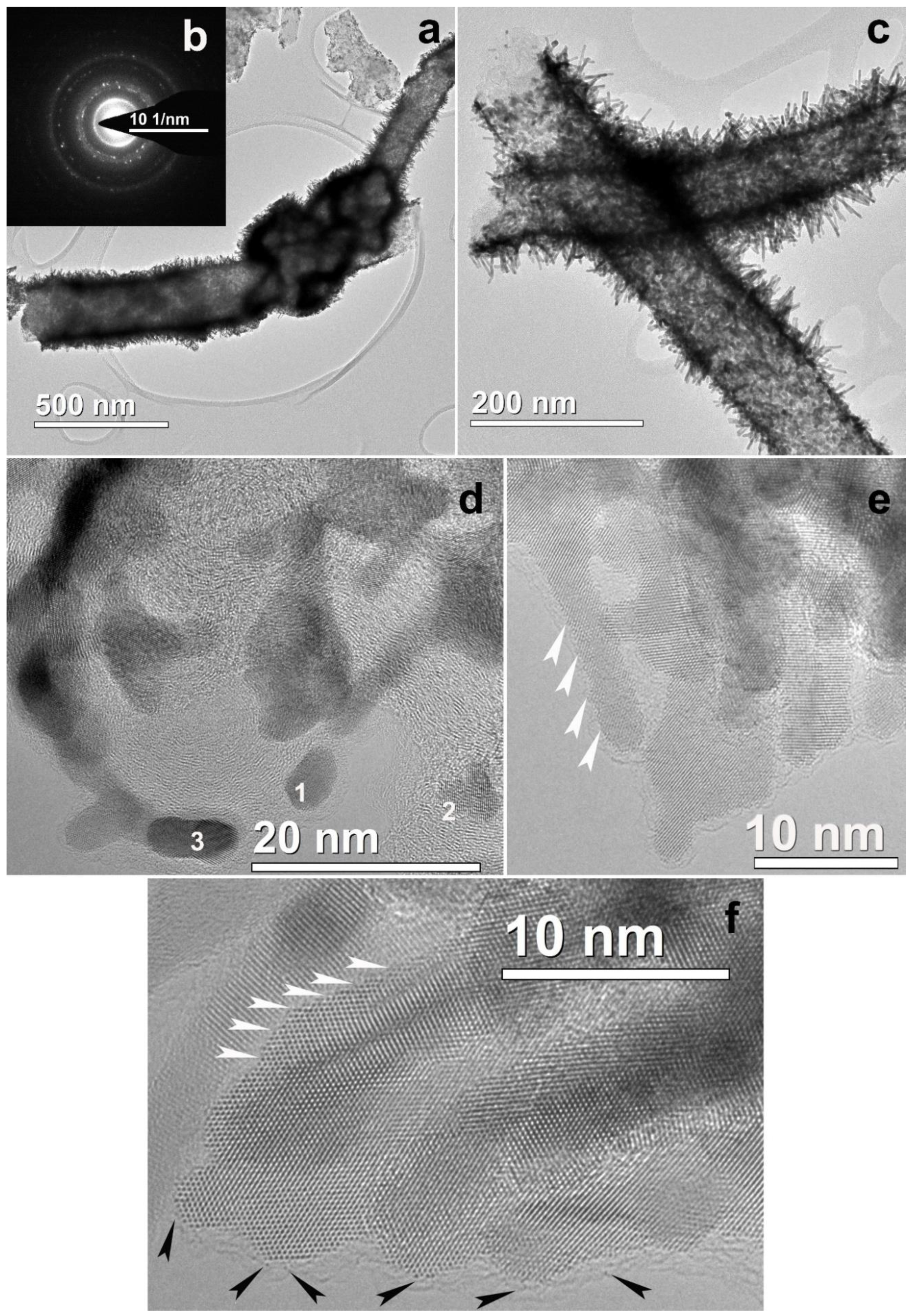 Polymers 12 01340 g007