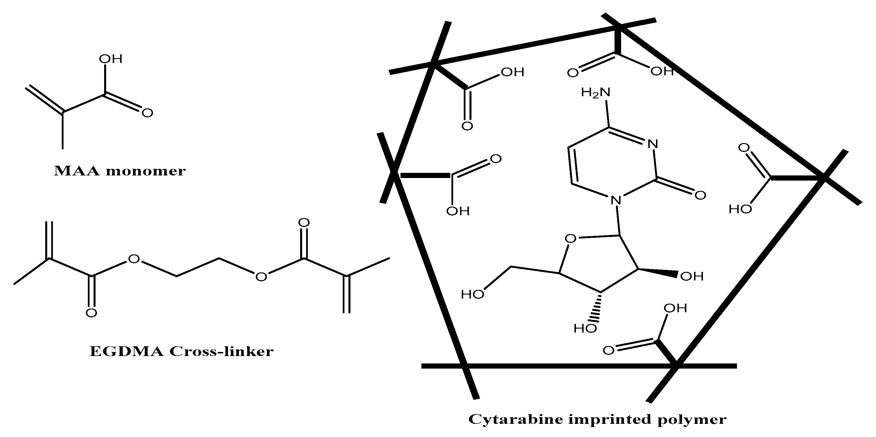 Polymers 12 01343 g001