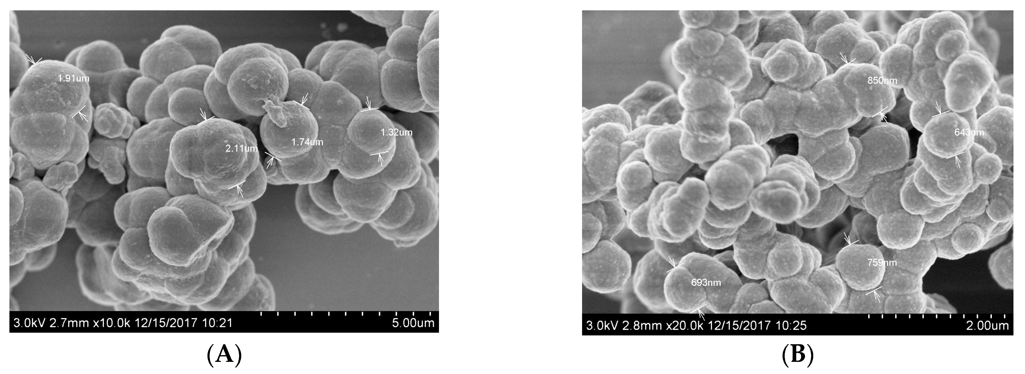 Polymers 12 01343 g002