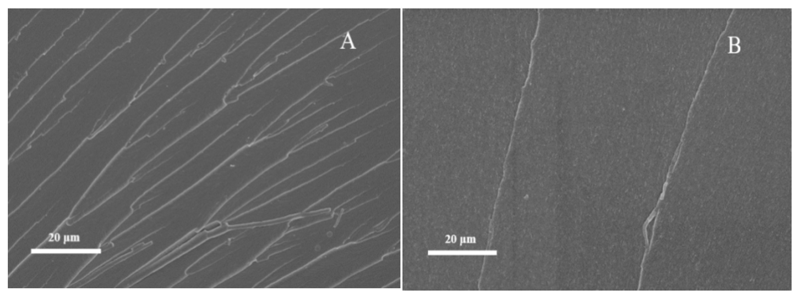 Polymers 12 01346 g010 Polymers 12 01346 g010